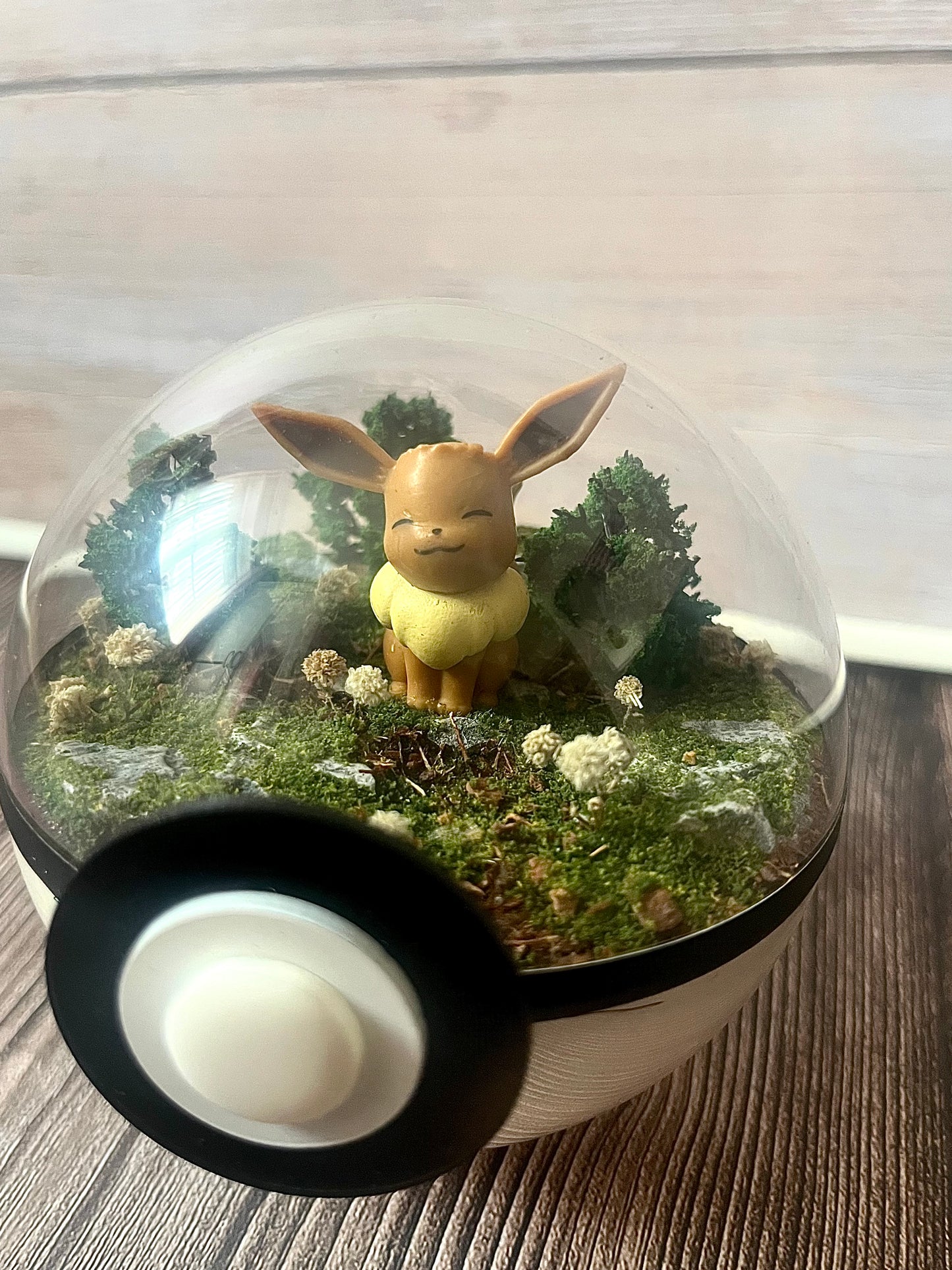 EEVEE (Small 10cm) PokéBall Diorama Terrarium