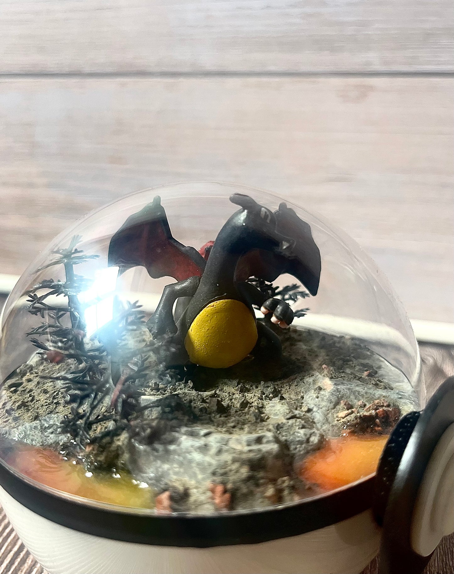 CHARIZARD SHINY (Small 10cm) PokéBall Diorama Terrarium