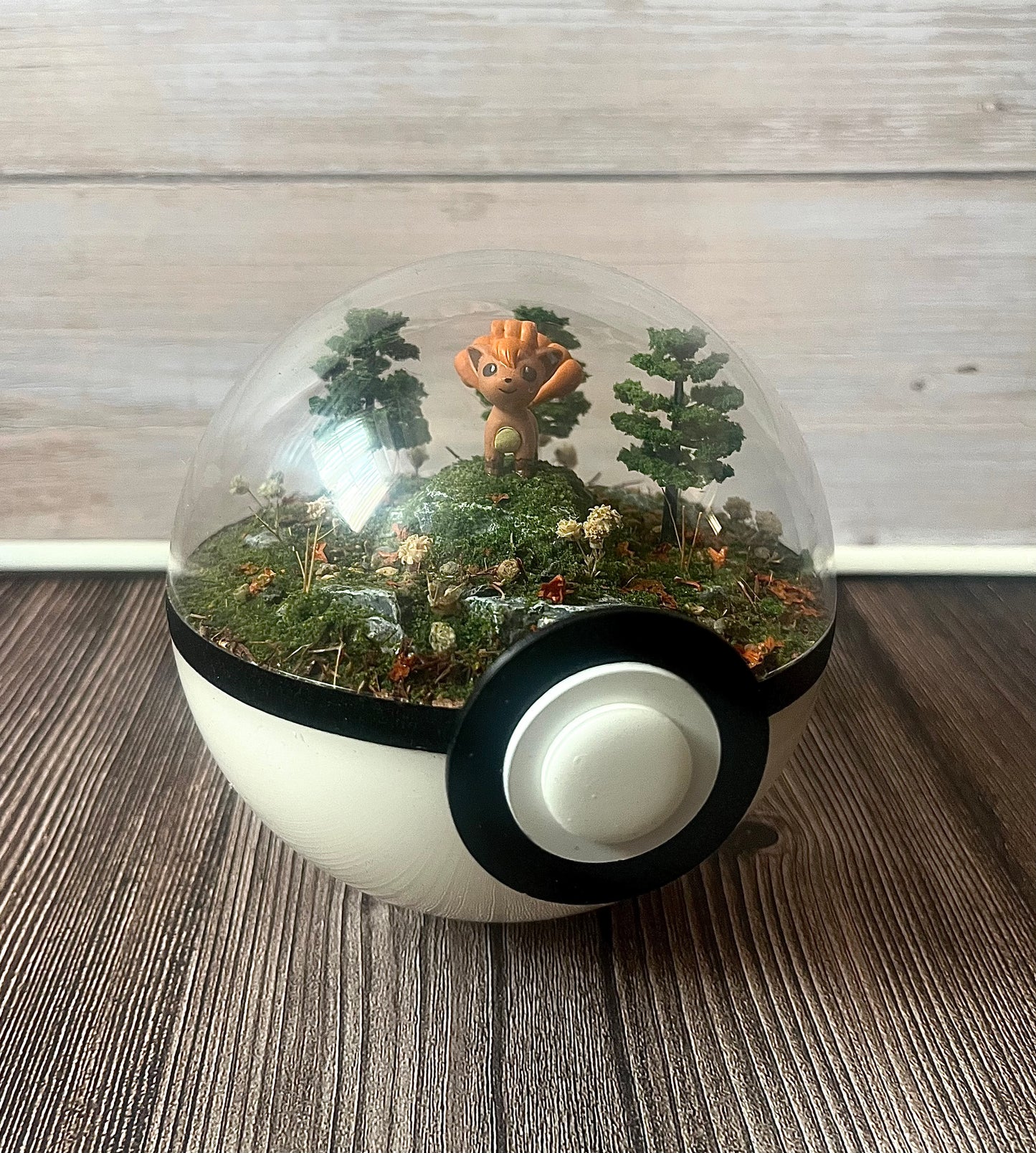 VULPIX (Medium 12cm) PokéBall Diorama Terrarium