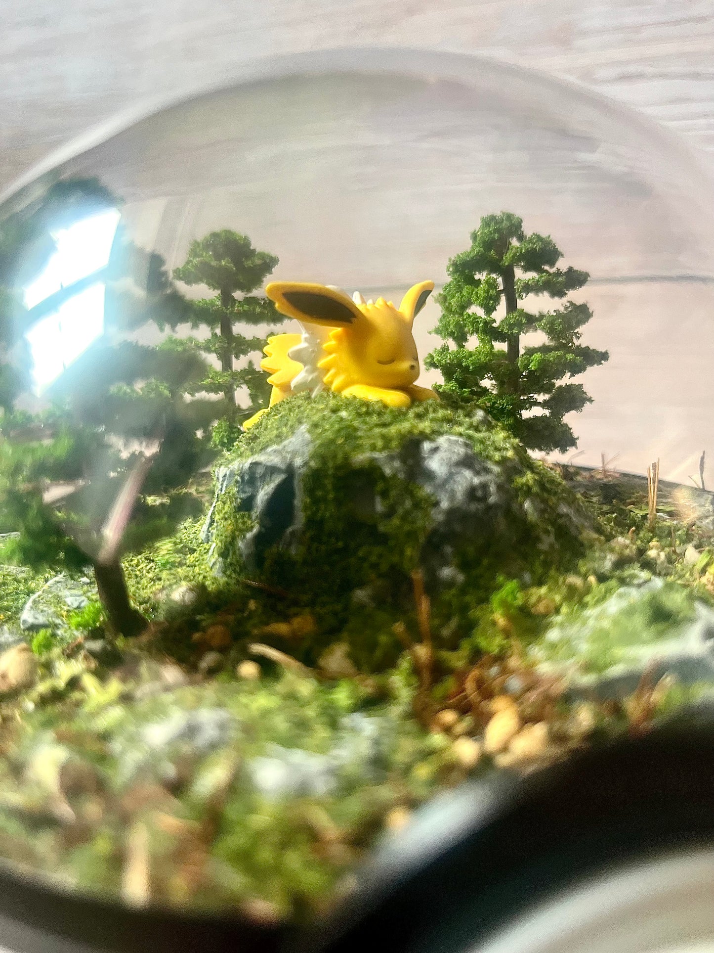 JOLTEON (Large 14cm) PokéBall Diorama Terrarium