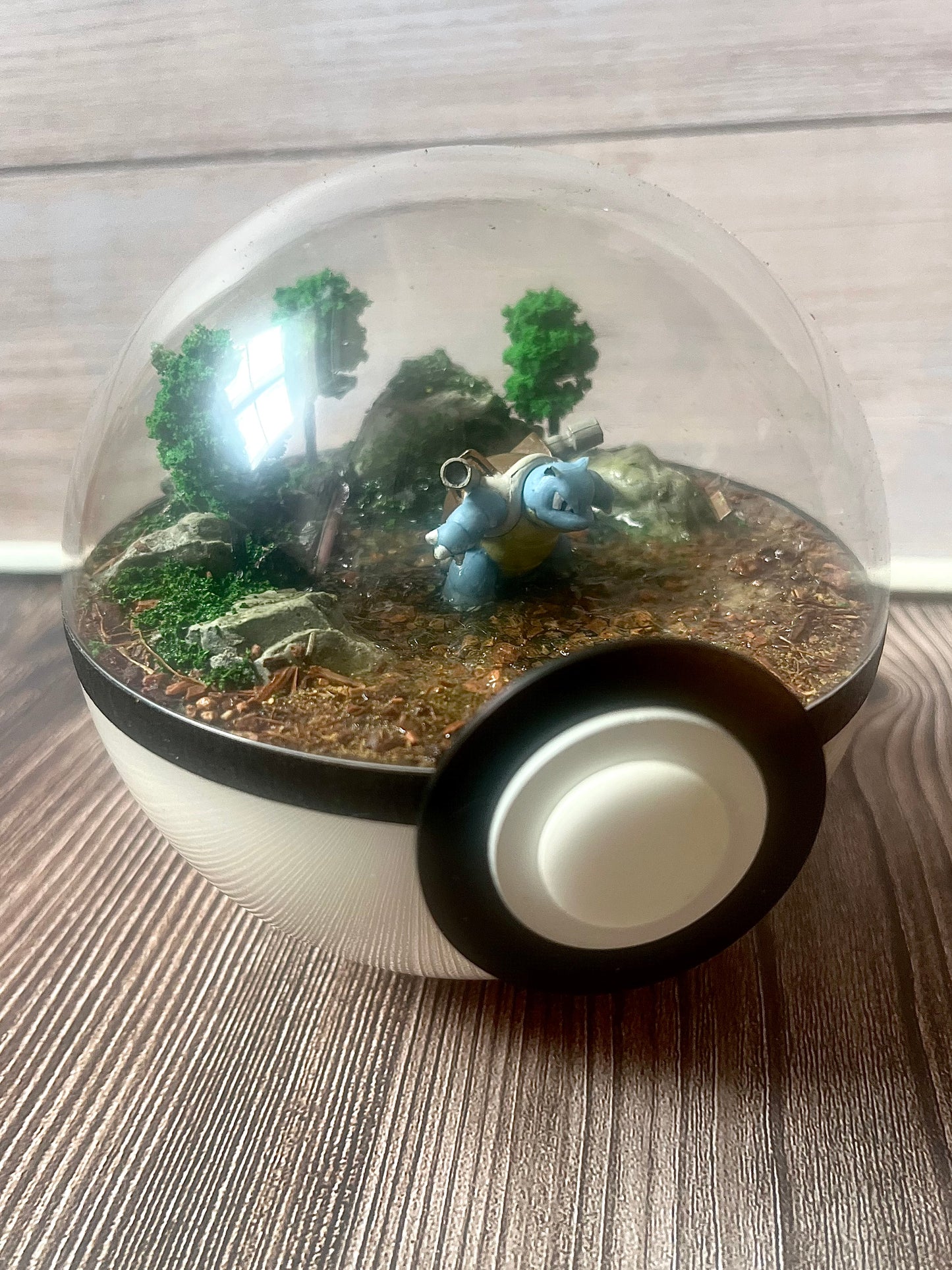 BLASTOISE (Medium 12cm) PokéBall Diorama Terrarium
