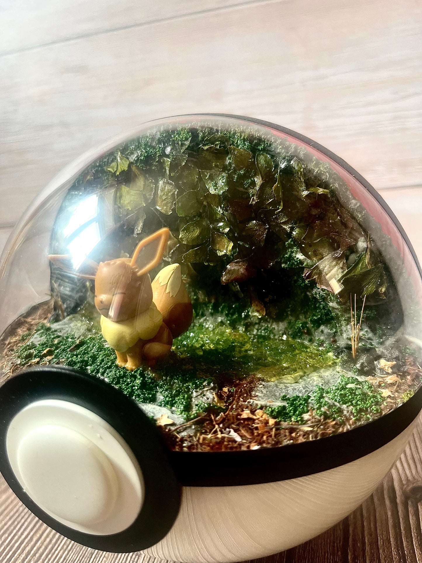 EEVEE SPECIAL EDITION - HALF and HALF (Large 15.5cm) PokéBall Diorama Terrarium