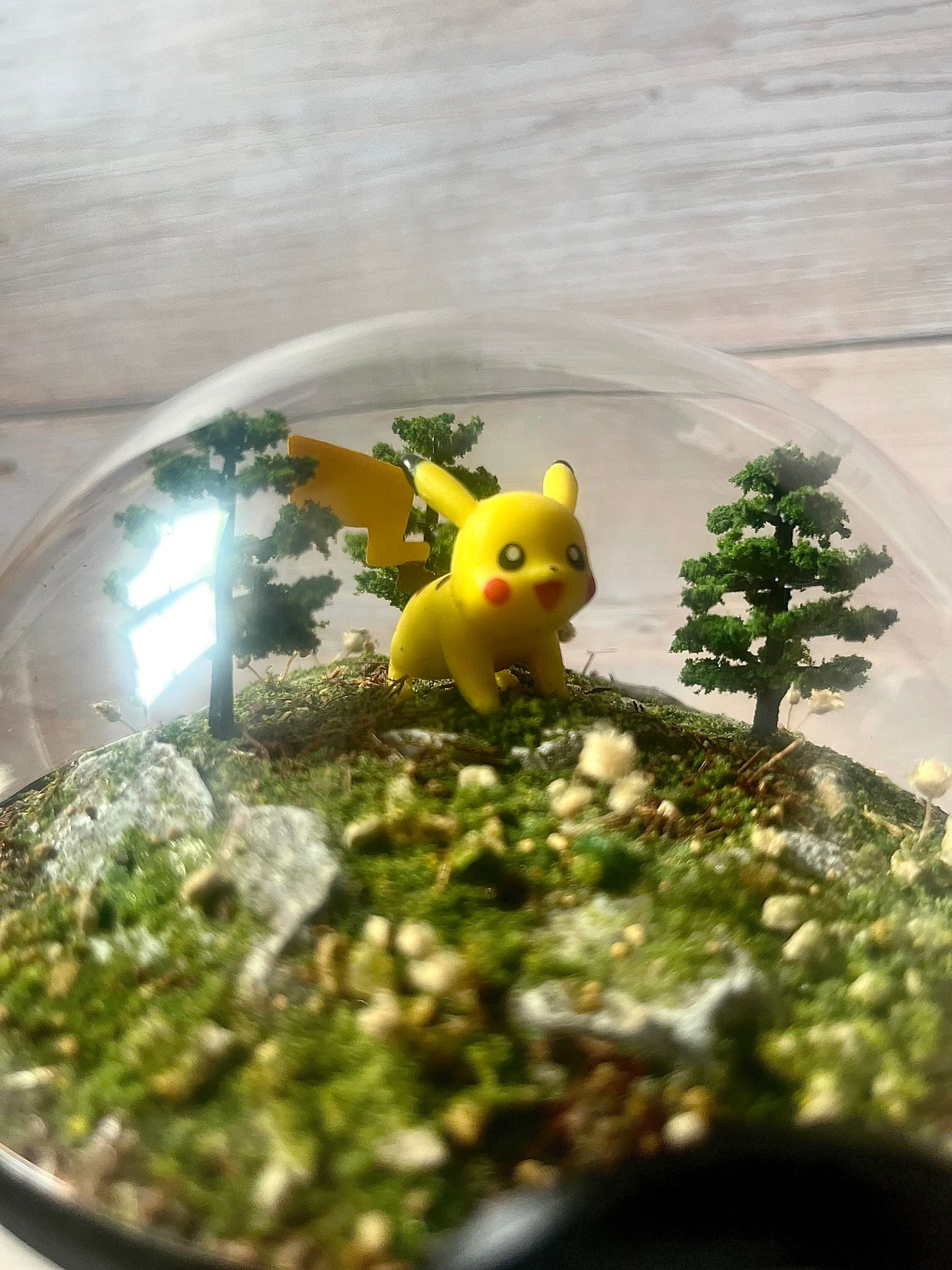 PIKACHU (Medium 12cm) PokéBall Diorama Terrarium