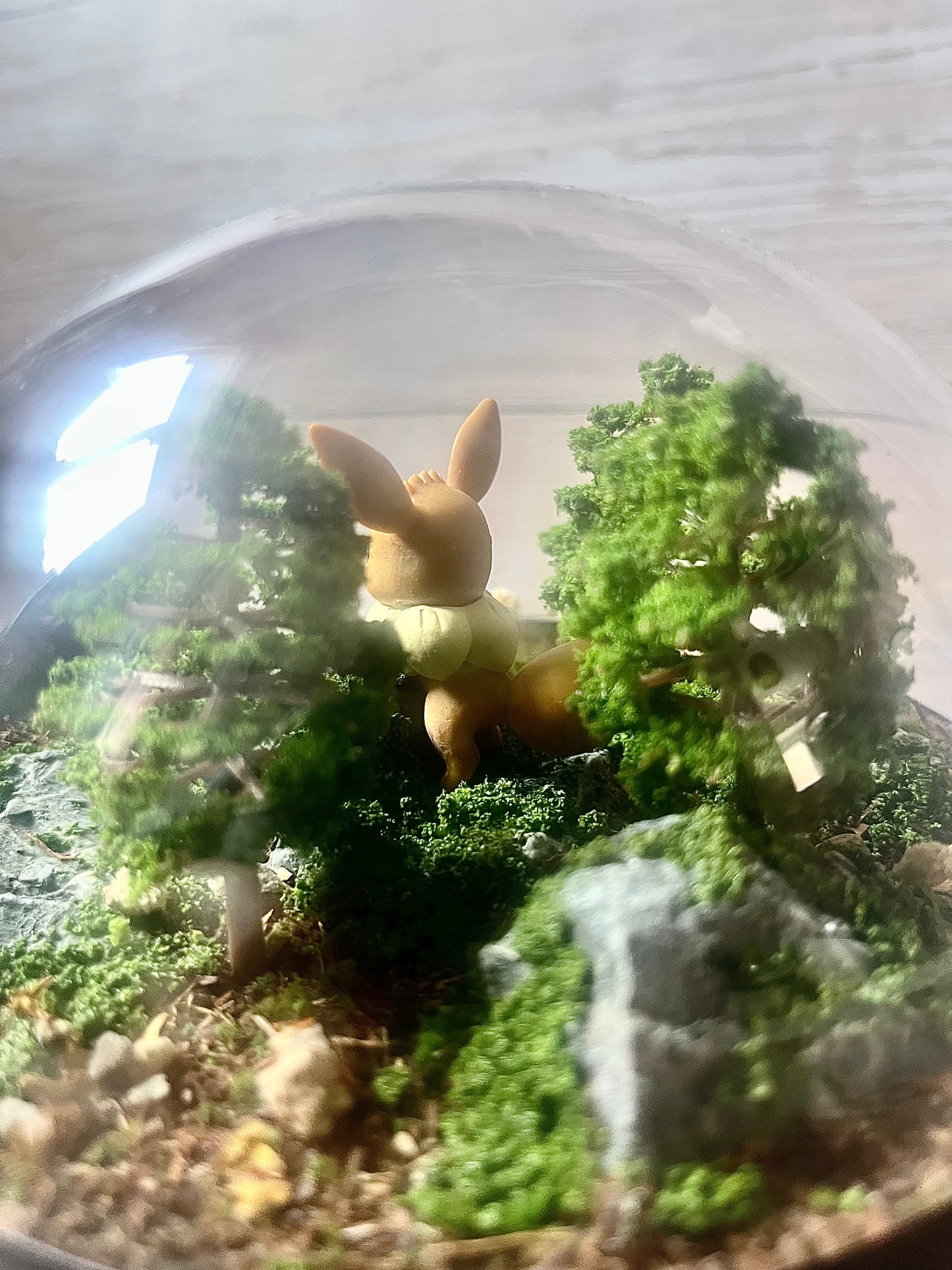 EEVEE (Large 14cm) PokéBall Diorama Terrarium