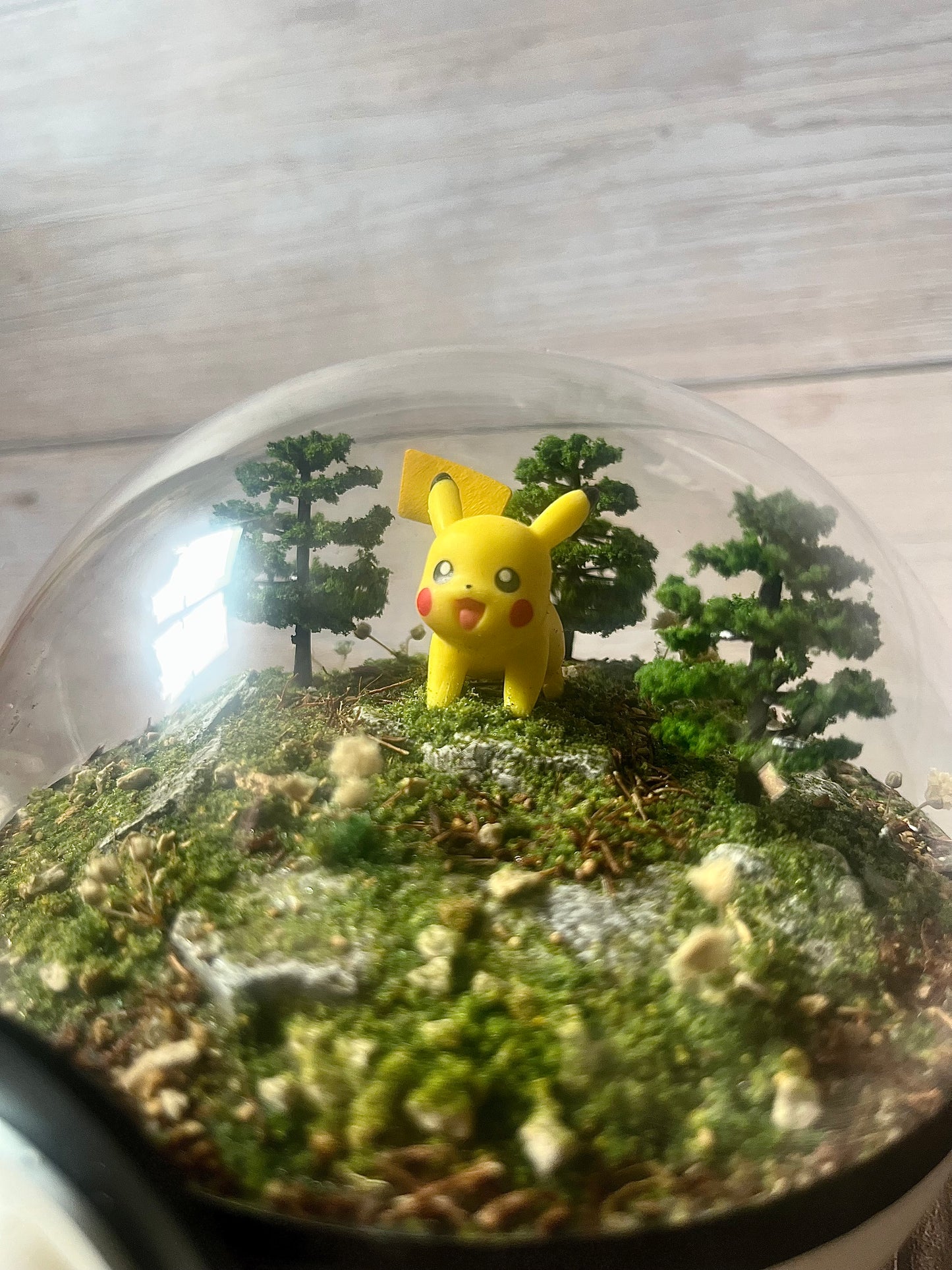 PIKACHU (Medium 12cm) PokéBall Diorama Terrarium