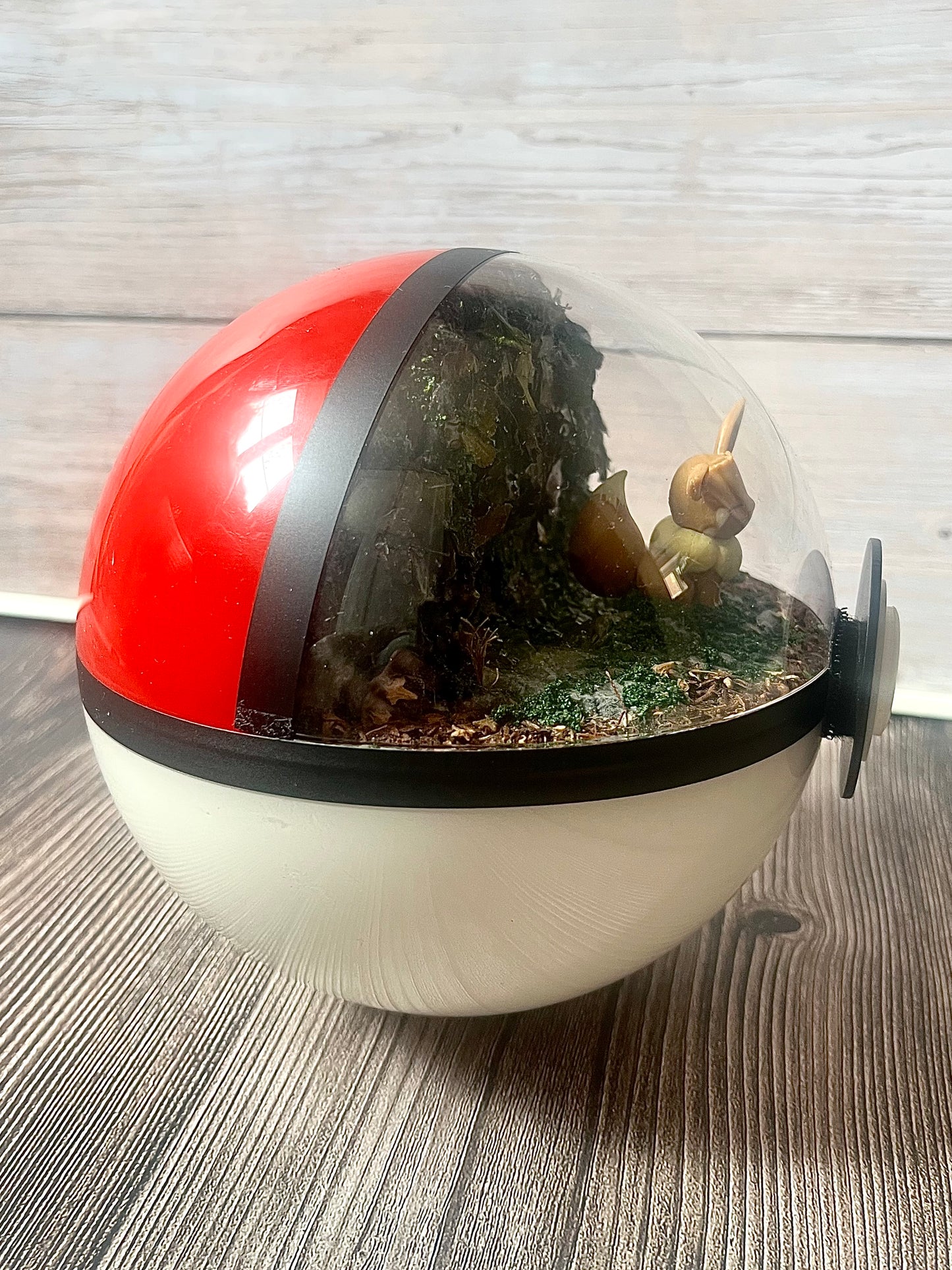EEVEE SPECIAL EDITION - HALF and HALF (Large 15.5cm) PokéBall Diorama Terrarium