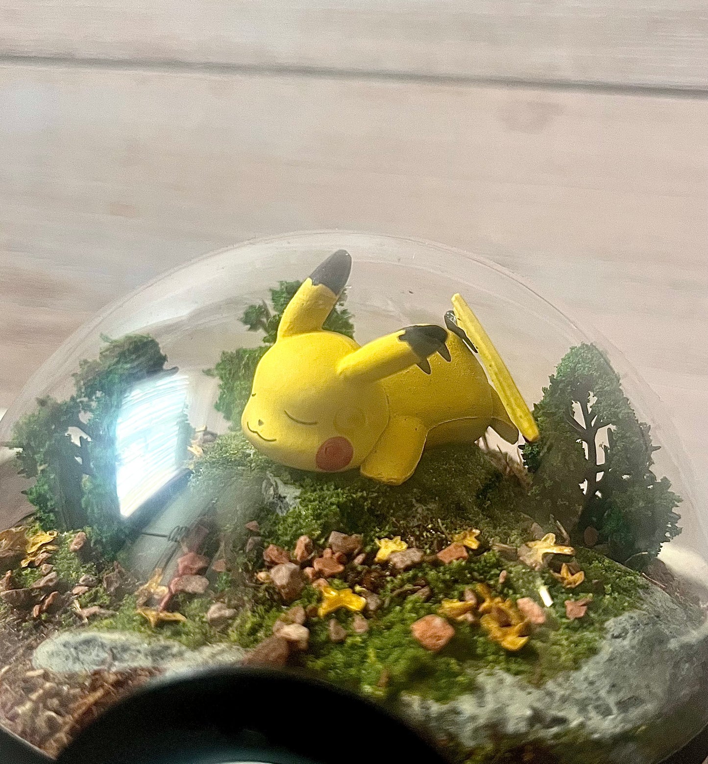 PIKACHU (Small 10cm) PokéBall Diorama Terrarium