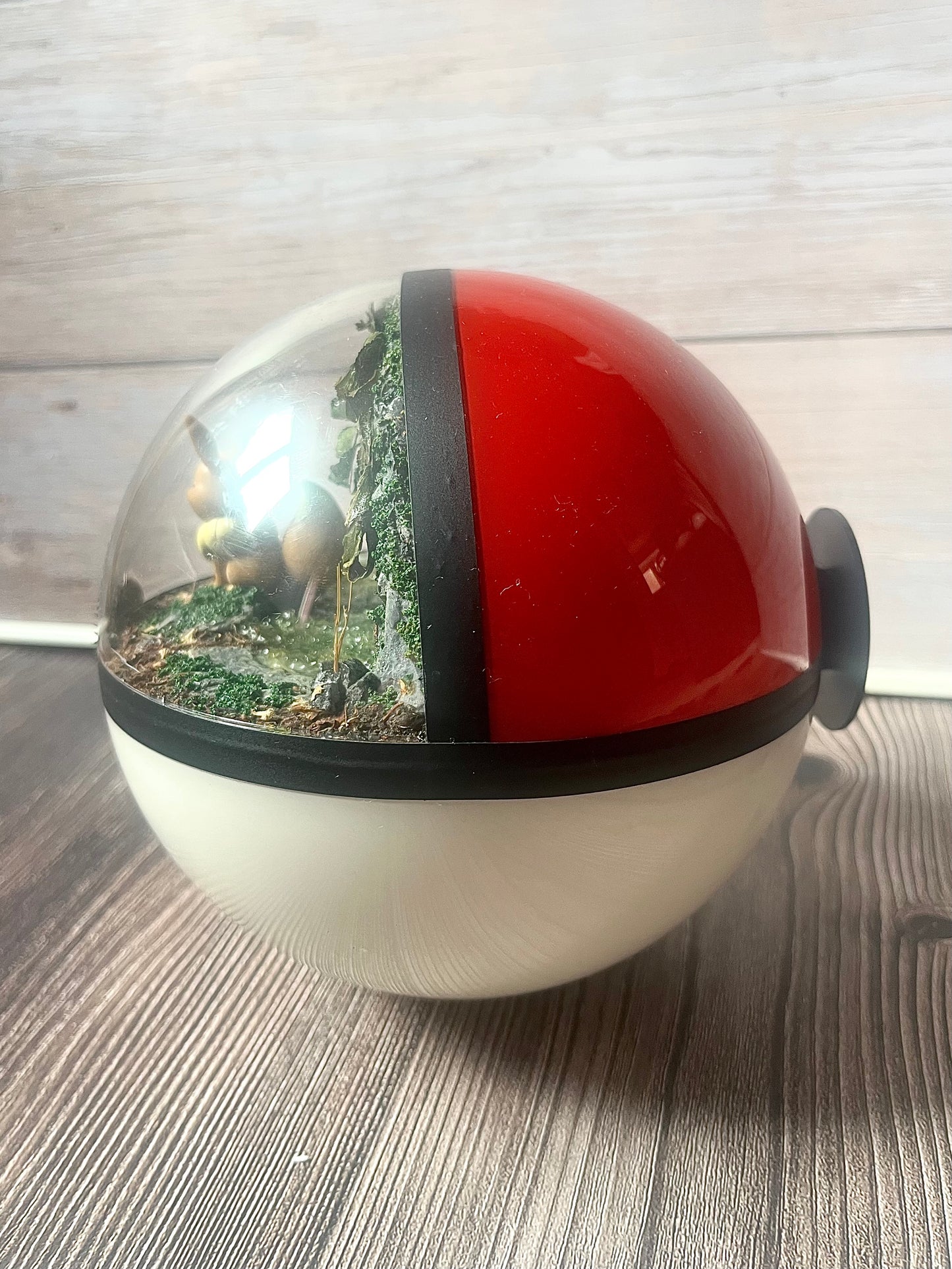 EEVEE SPECIAL EDITION - HALF and HALF (Large 15.5cm) PokéBall Diorama Terrarium
