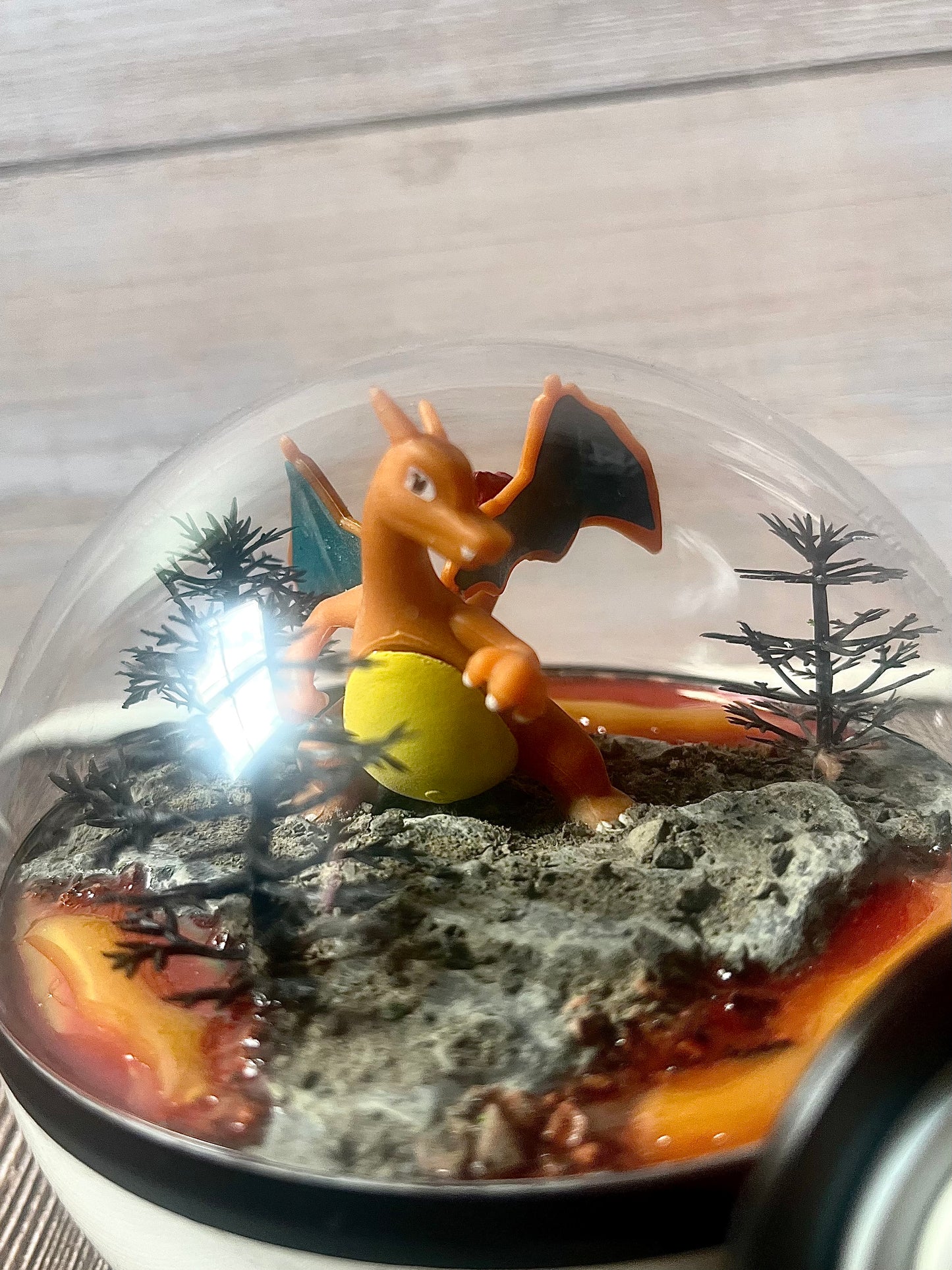 CHARIZARD (Small 10cm) PokéBall Diorama Terrarium