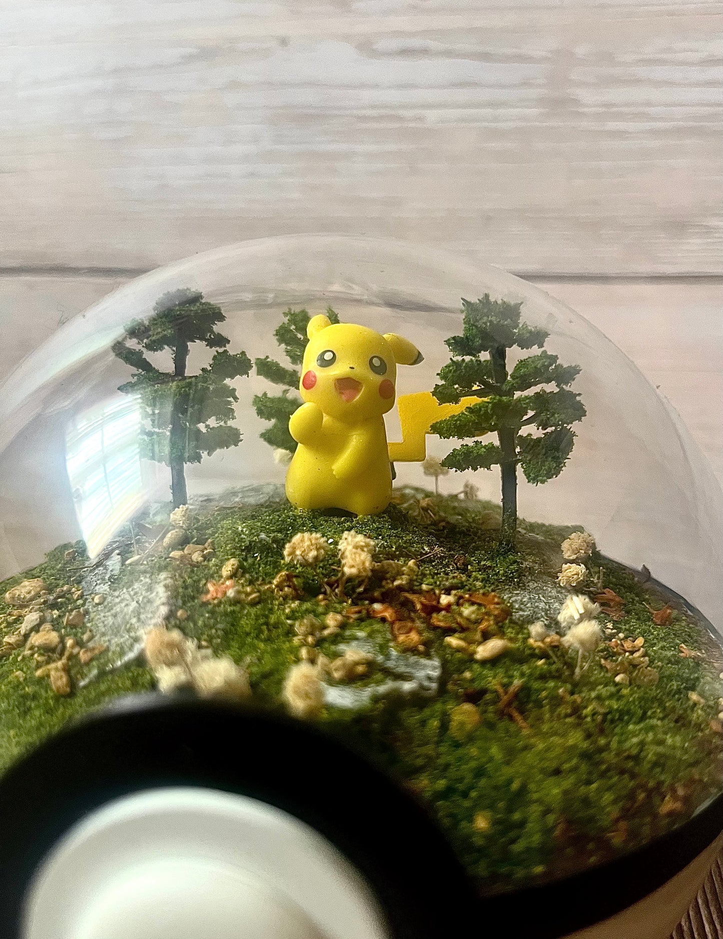 PIKACHU (Medium 12cm) PokéBall Diorama Terrarium