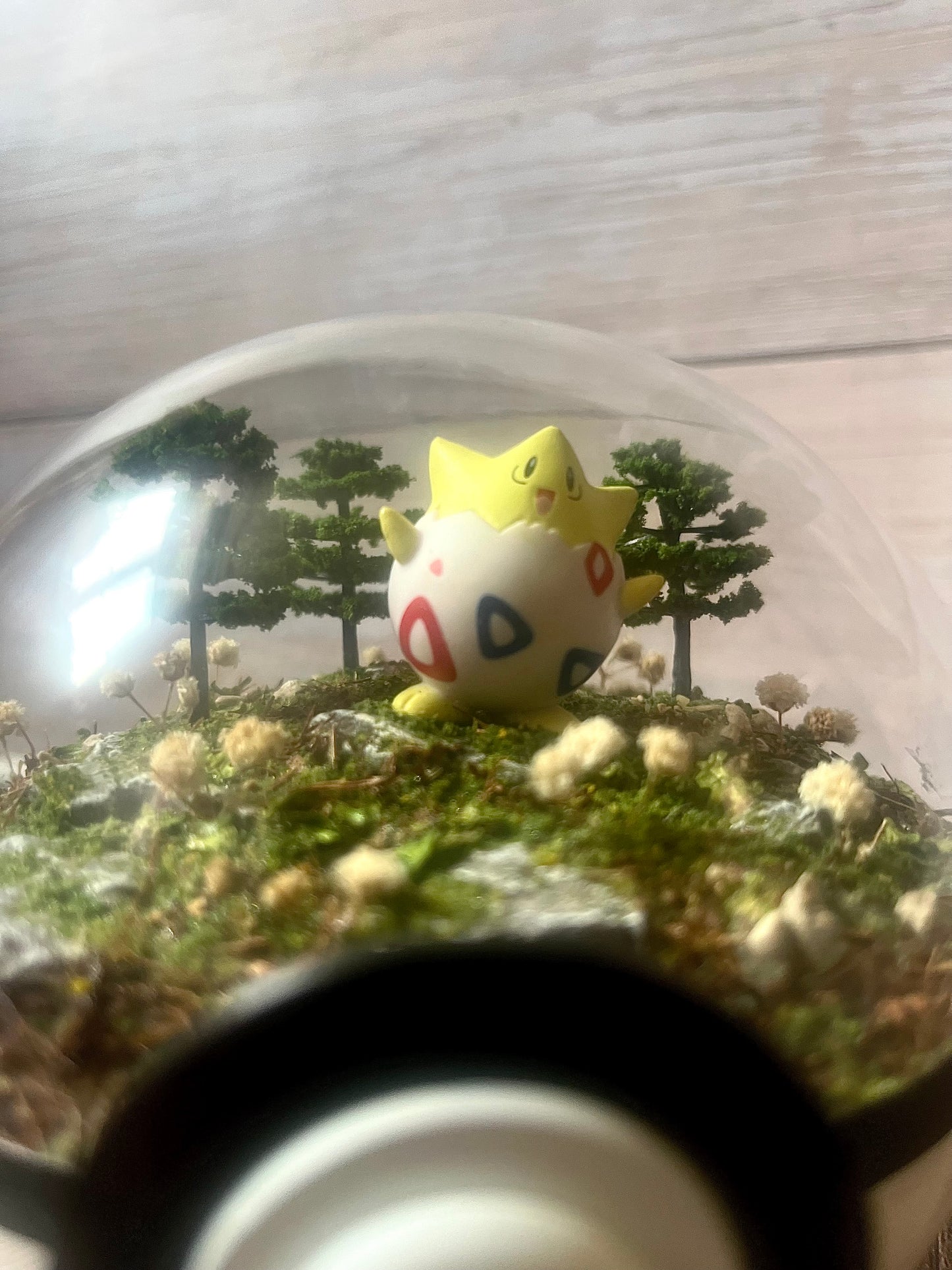 TOGEPI (Medium 12cm) PokéBall Diorama Terrarium