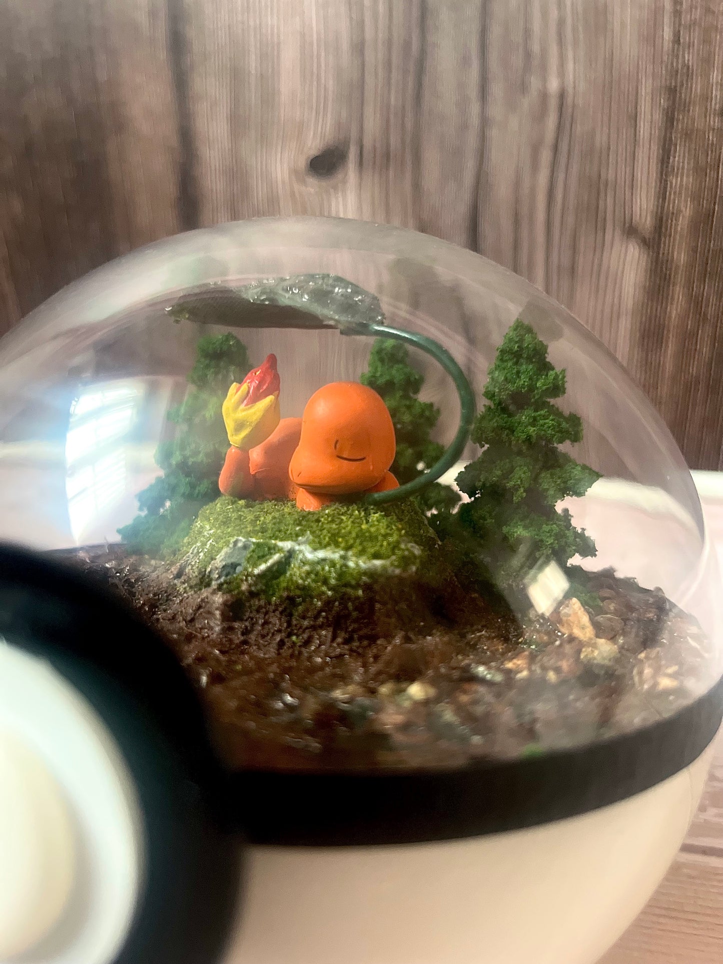 CHARMANDER (Large 14cm) PokéBall Diorama Terrarium