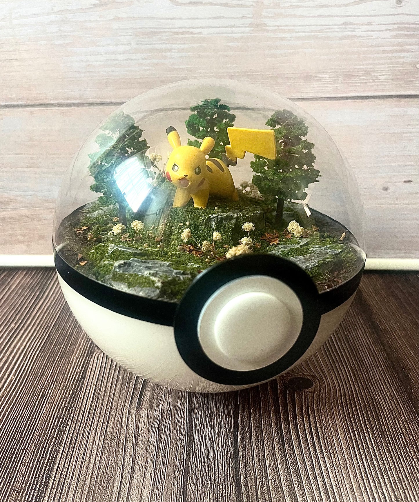 PIKACHU (Large 14cm) PokéBall Diorama Terrarium