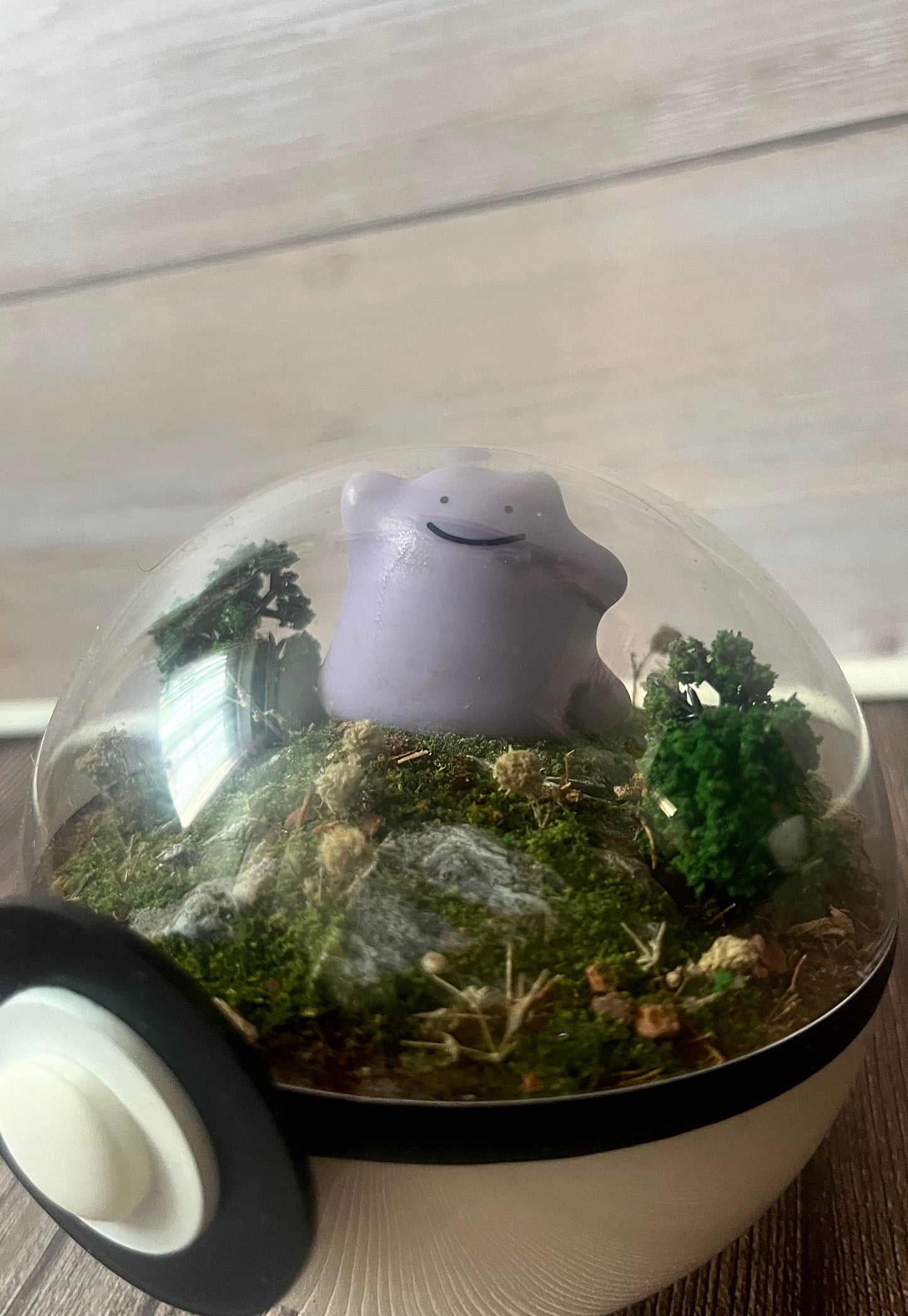 DITTO (Small 10cm) PokéBall Diorama Terrarium