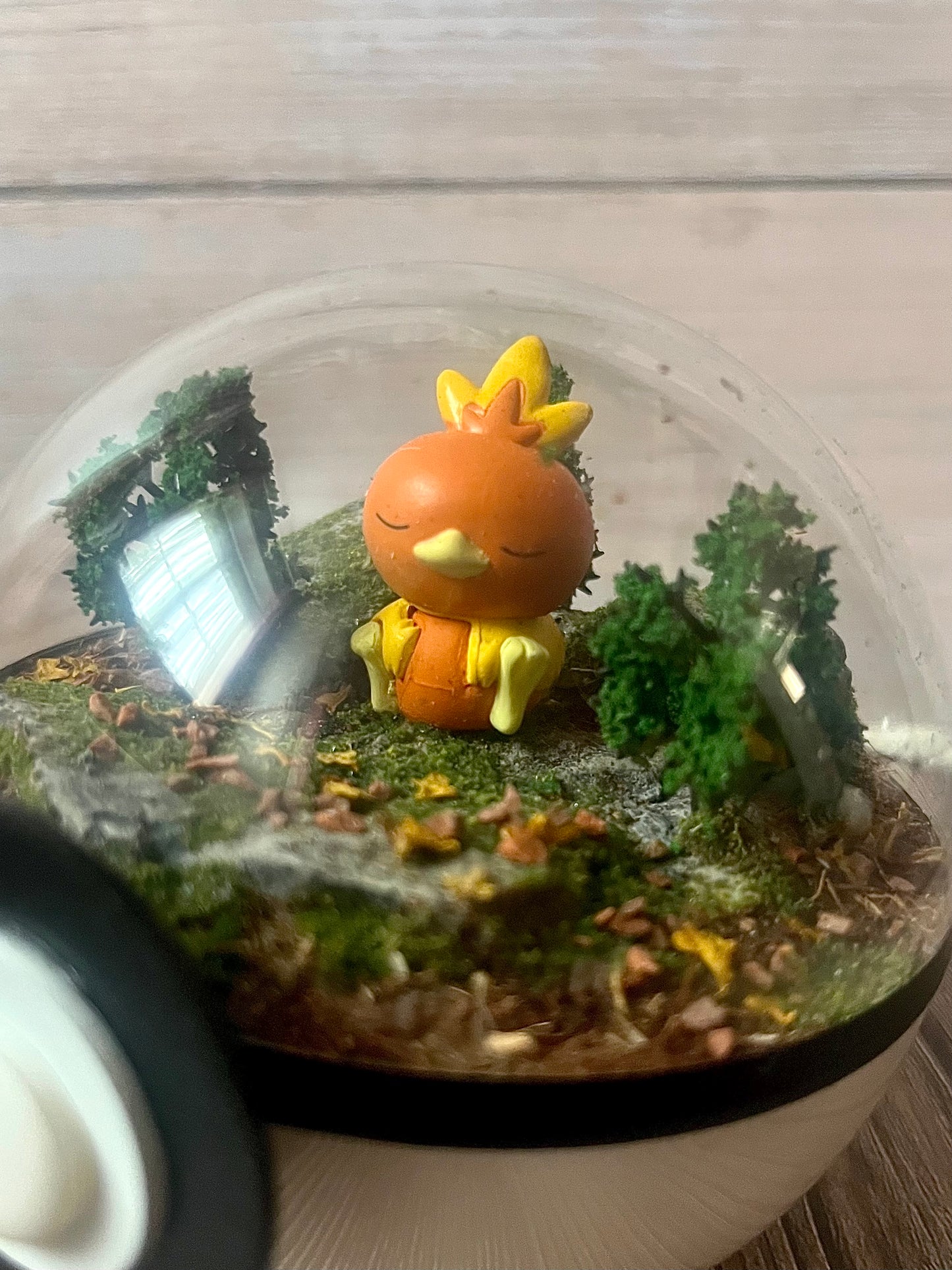 TORCHIC (Small 10cm) PokéBall Diorama Terrarium