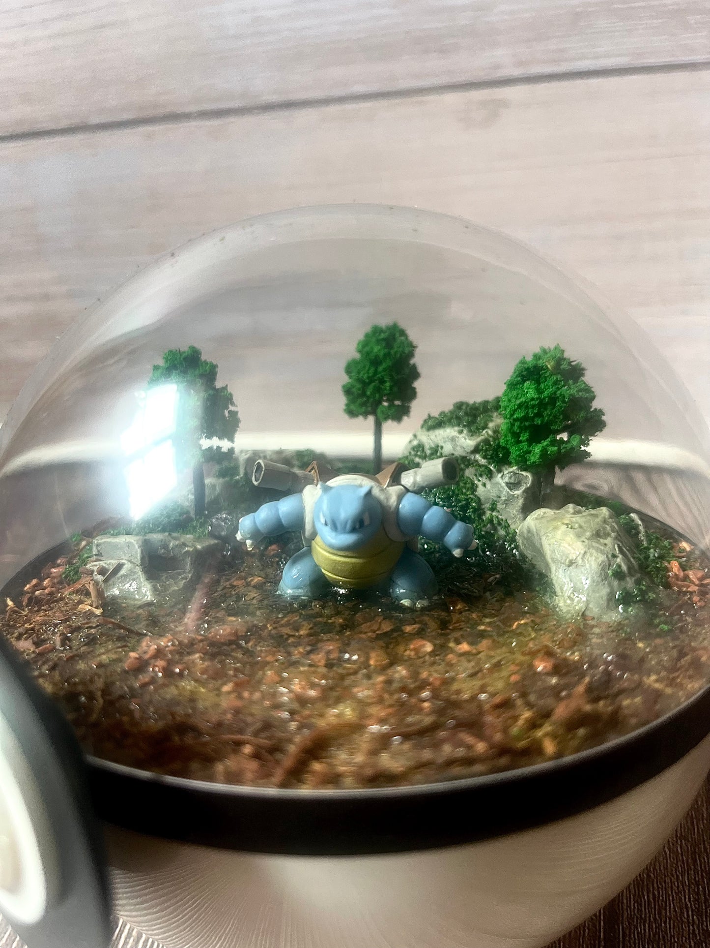 BLASTOISE (Medium 12cm) PokéBall Diorama Terrarium
