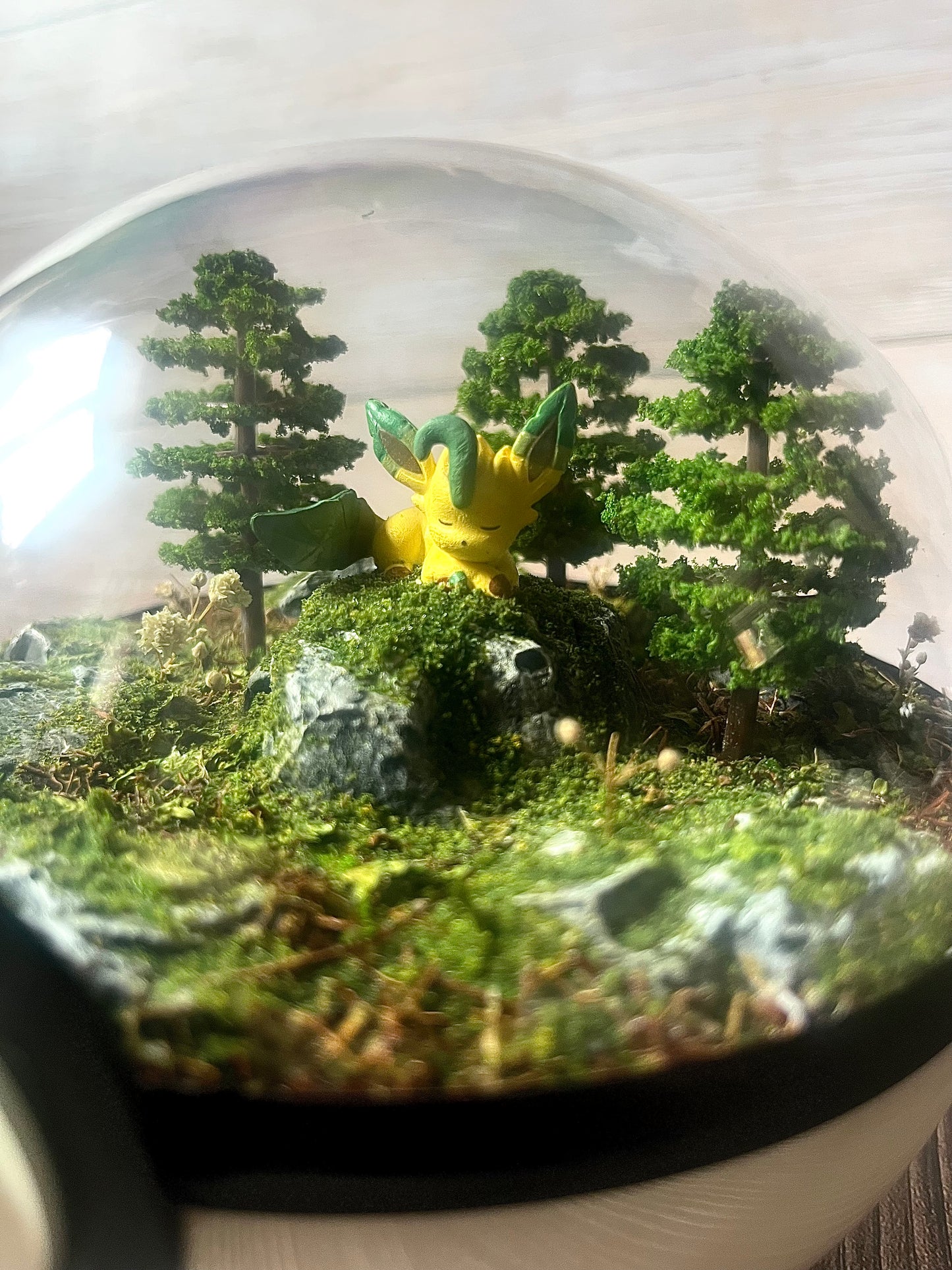 LEAFEON (Medium 12cm) PokéBall Diorama Terrarium