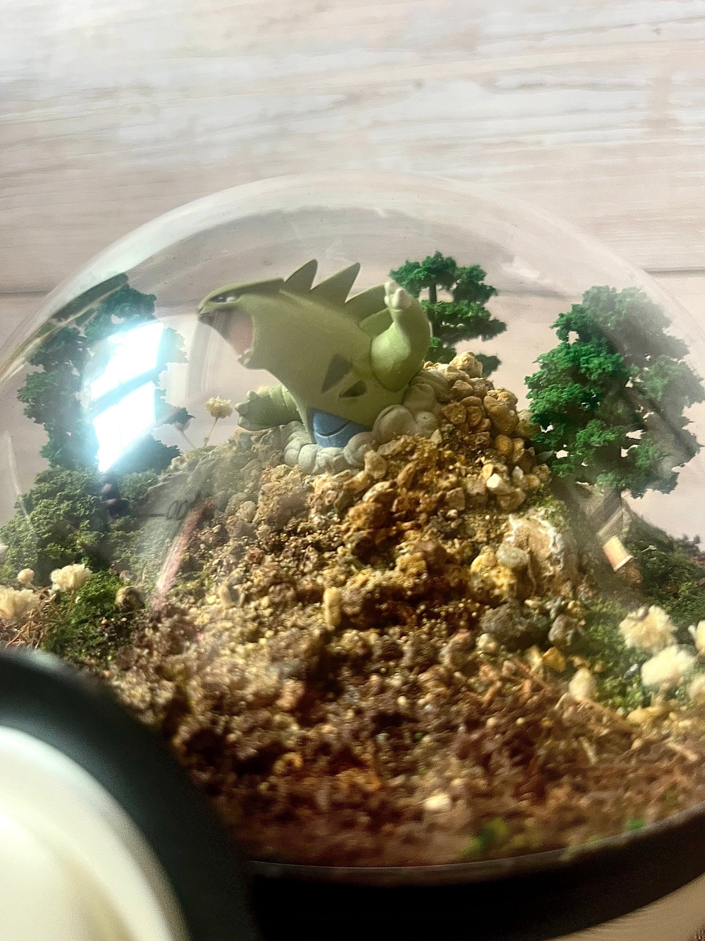 TYRANITAR (Large 14cm) PokéBall Diorama Terrarium