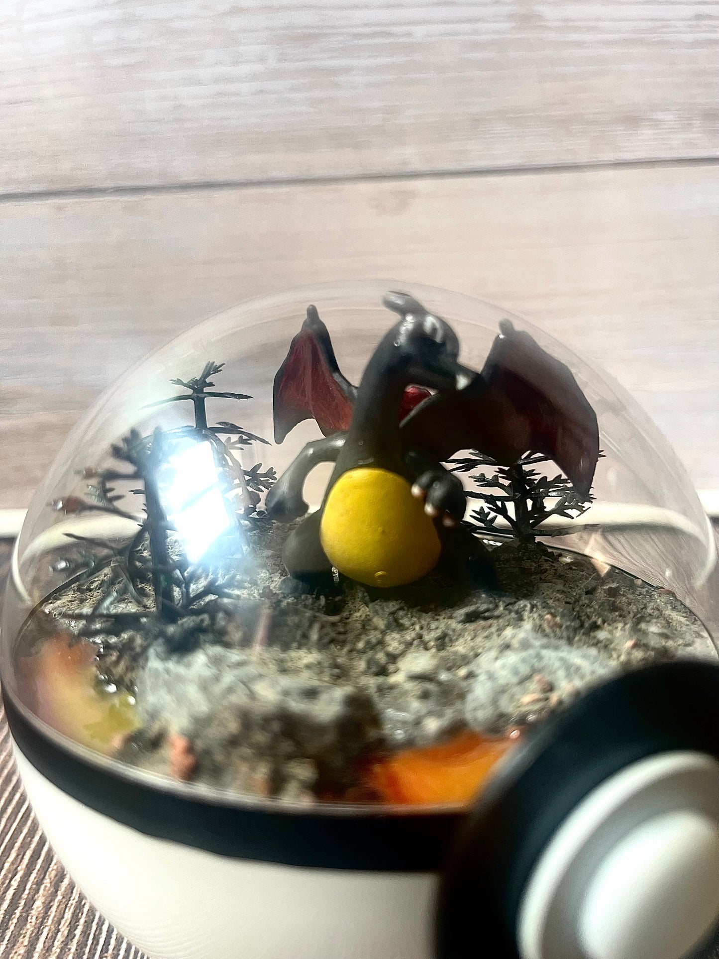 CHARIZARD SHINY (Small 10cm) PokéBall Diorama Terrarium