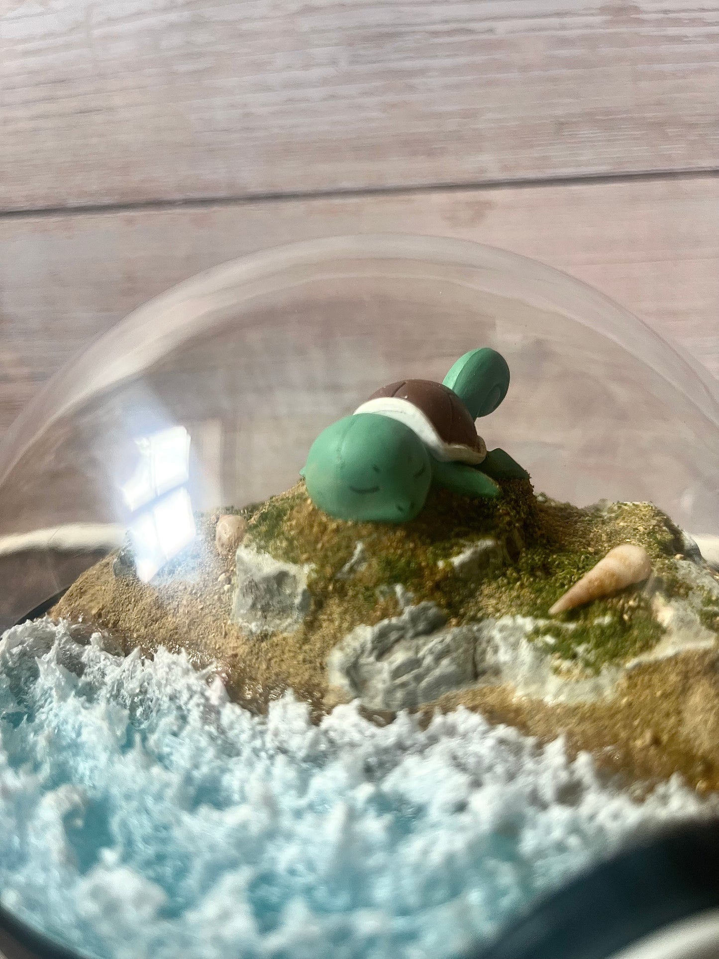 SQUIRTLE (Medium 12cm) PokéBall Diorama Terrarium