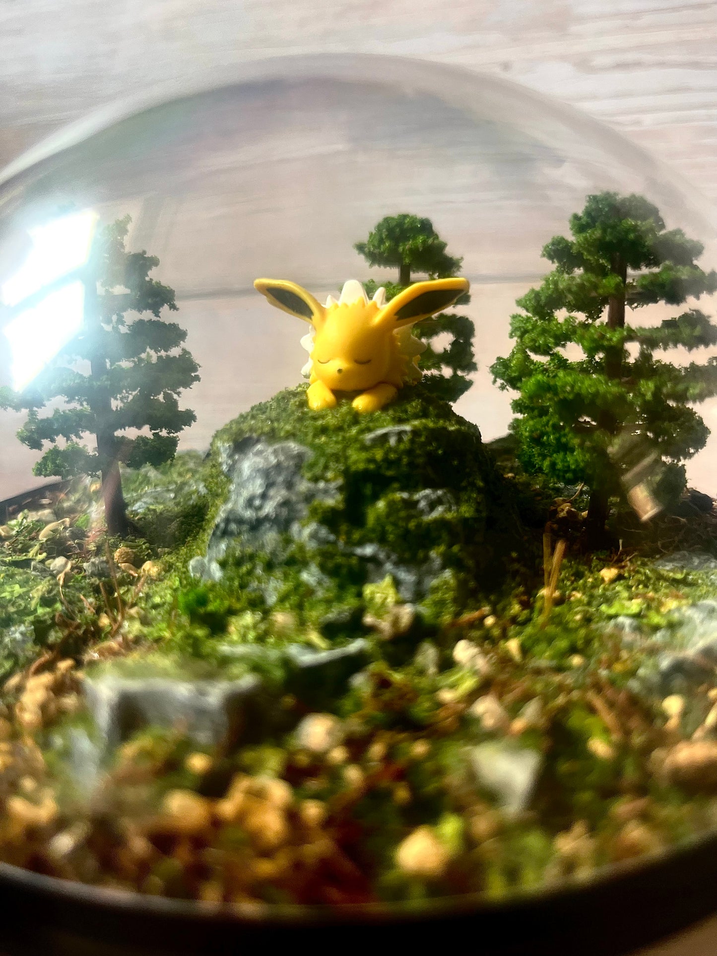 JOLTEON (Large 14cm) PokéBall Diorama Terrarium