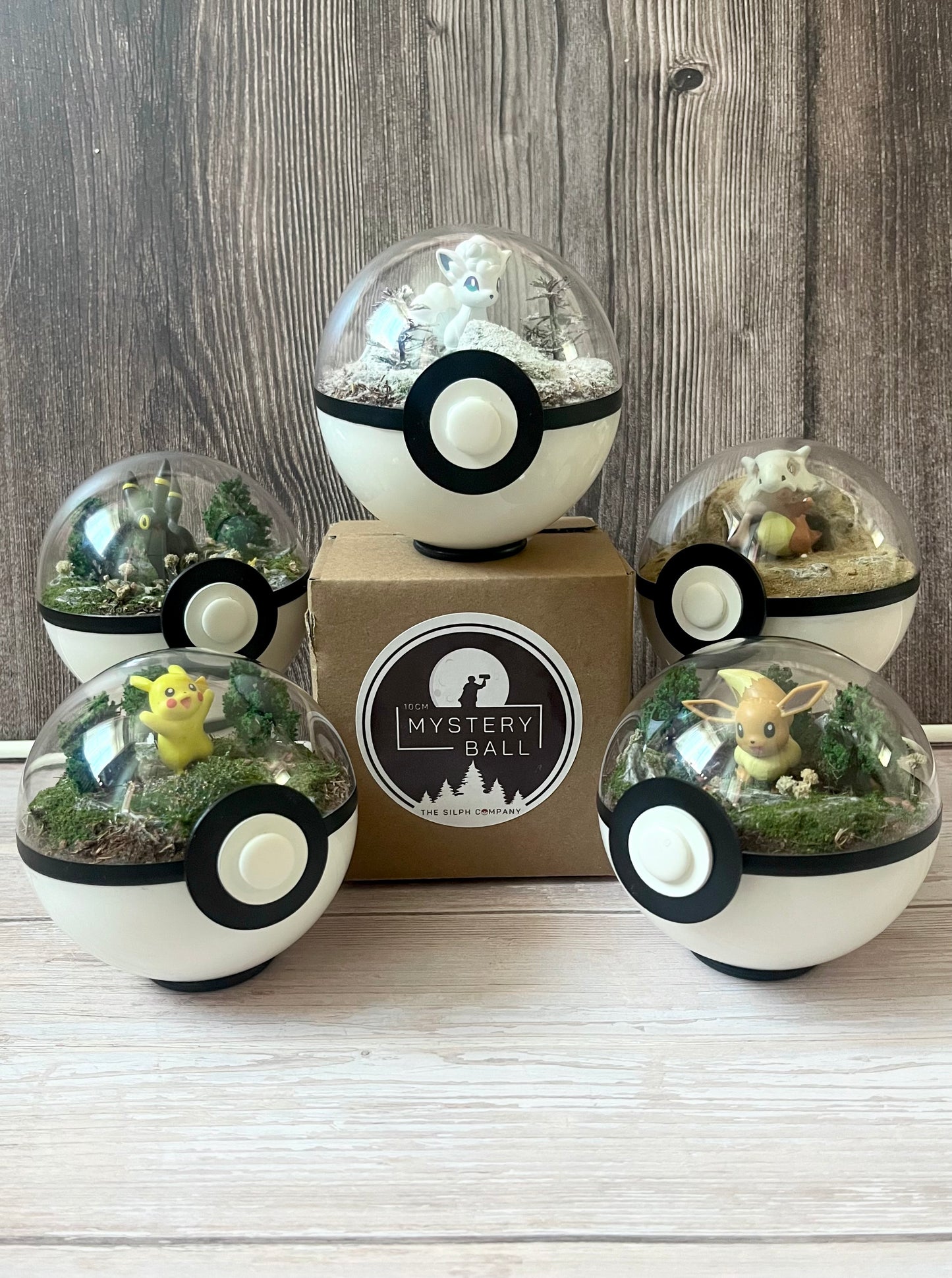 MYSTERY BALL (Small 10cm) PokéBall Diorama Terrarium
