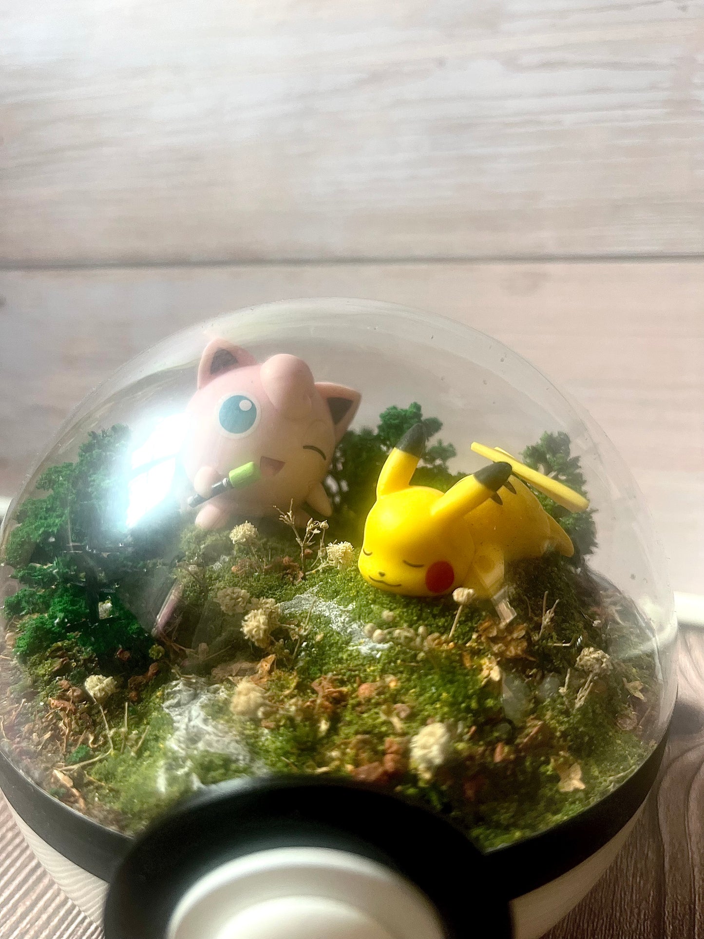 PIKACHU and JIGGLYPUFF (Medium 12cm) PokéBall Diorama Terrarium
