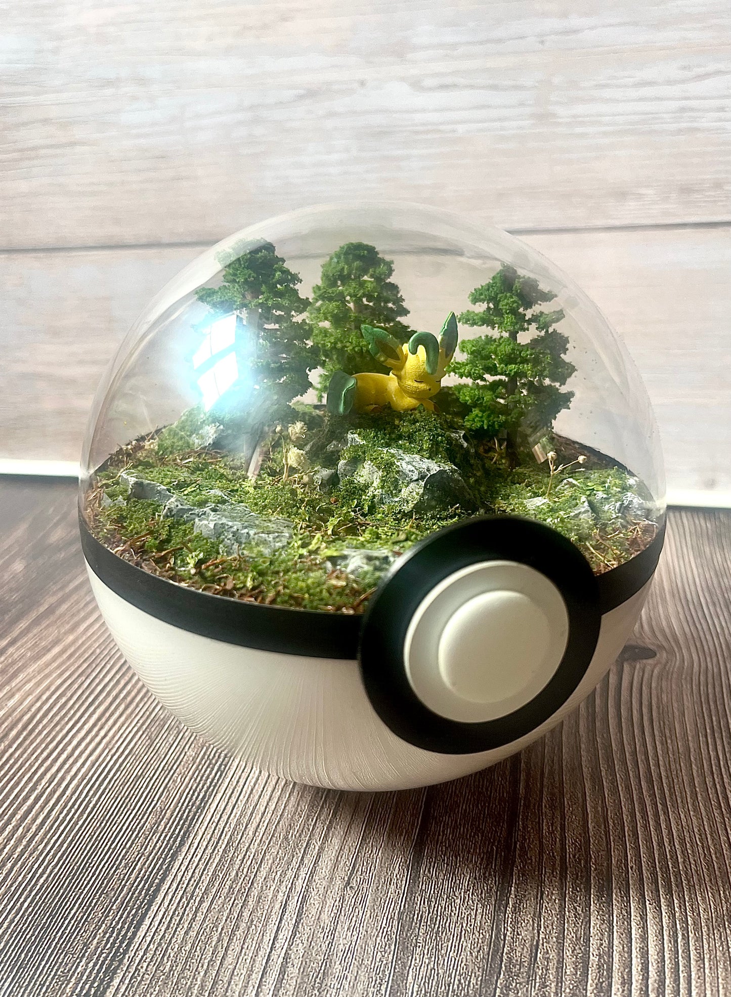 LEAFEON (Medium 12cm) PokéBall Diorama Terrarium
