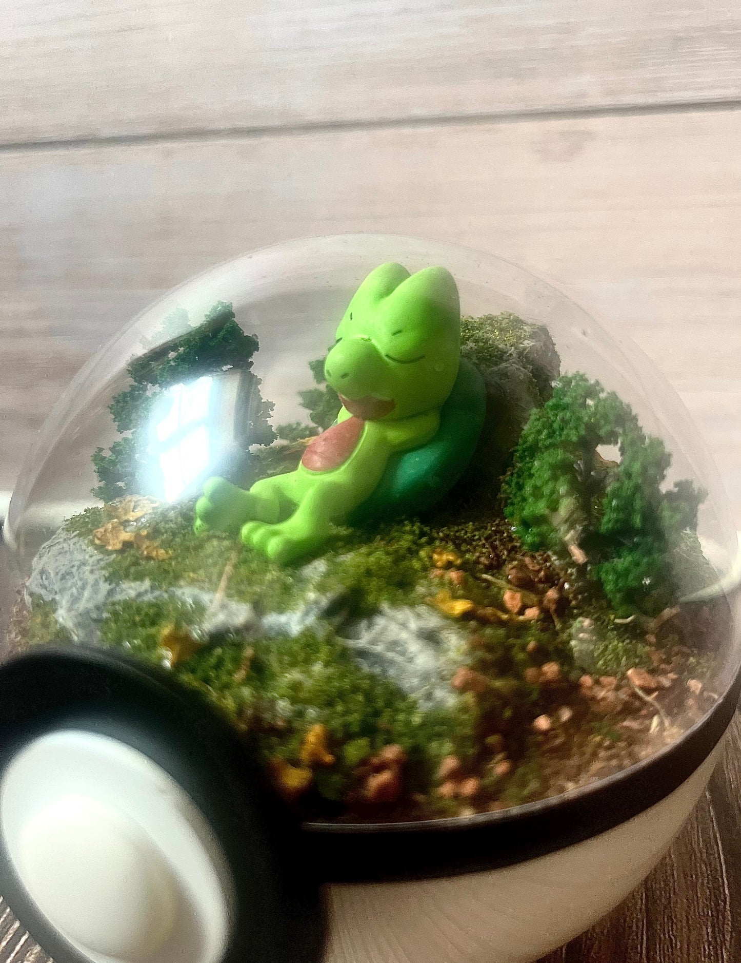 TREECKO (Small 10cm) PokéBall Diorama Terrarium