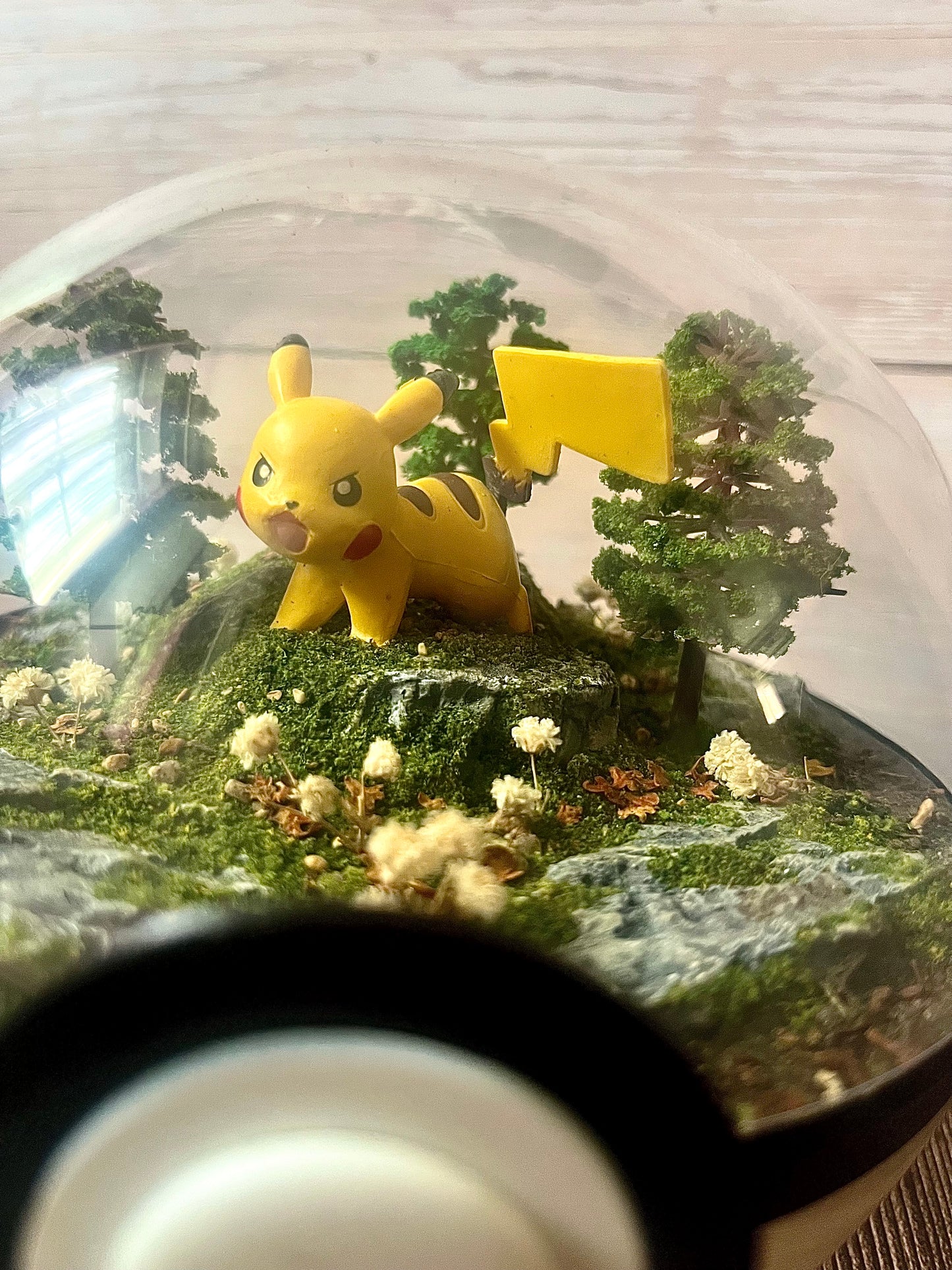 PIKACHU (Large 14cm) PokéBall Diorama Terrarium