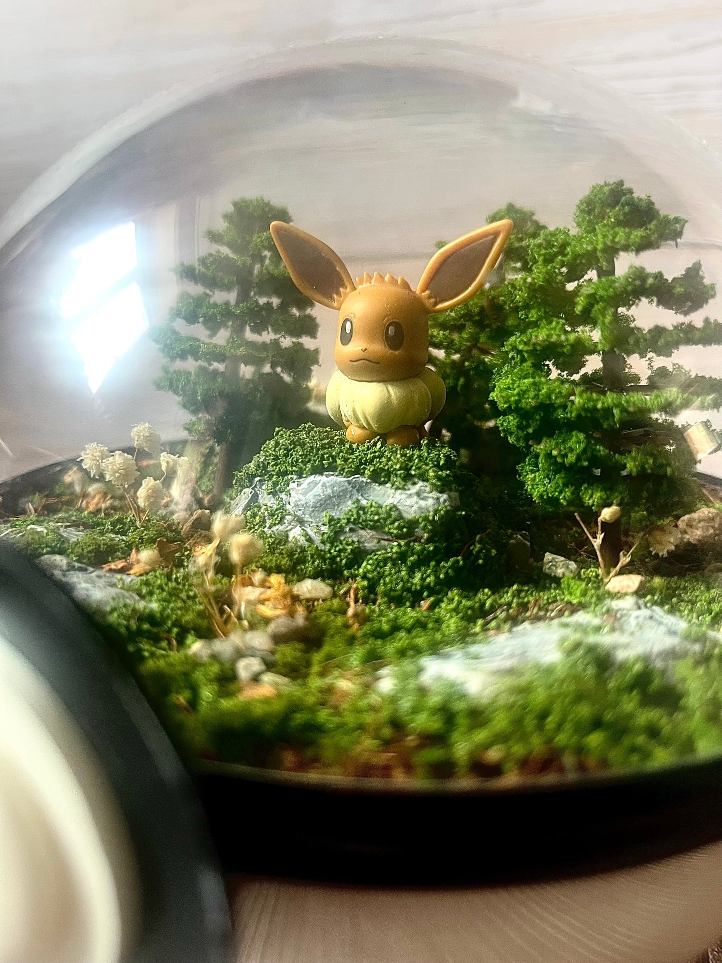 EEVEE (Large 14cm) PokéBall Diorama Terrarium