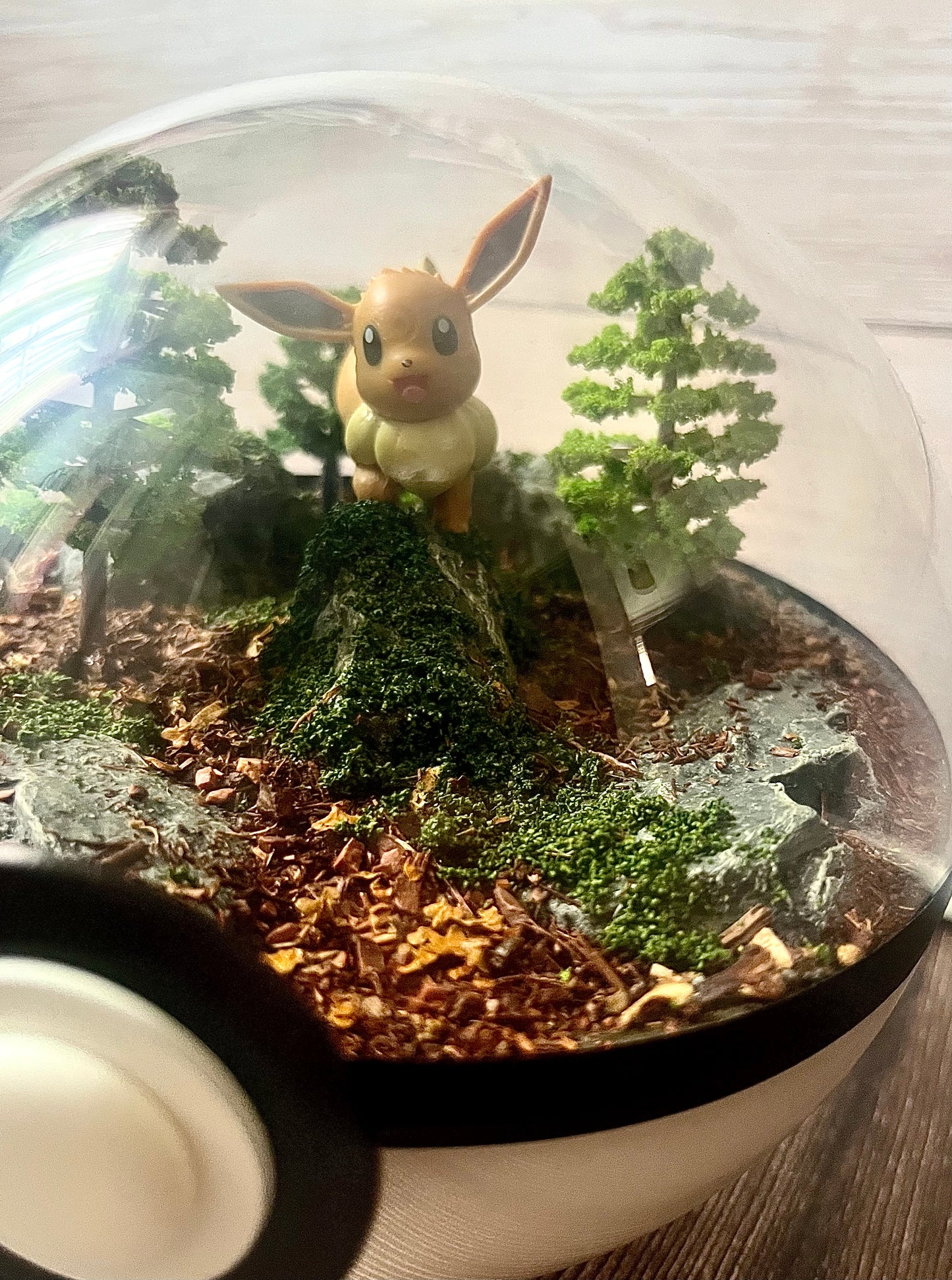EEVEE (Large 14cm) PokéBall Diorama Terrarium