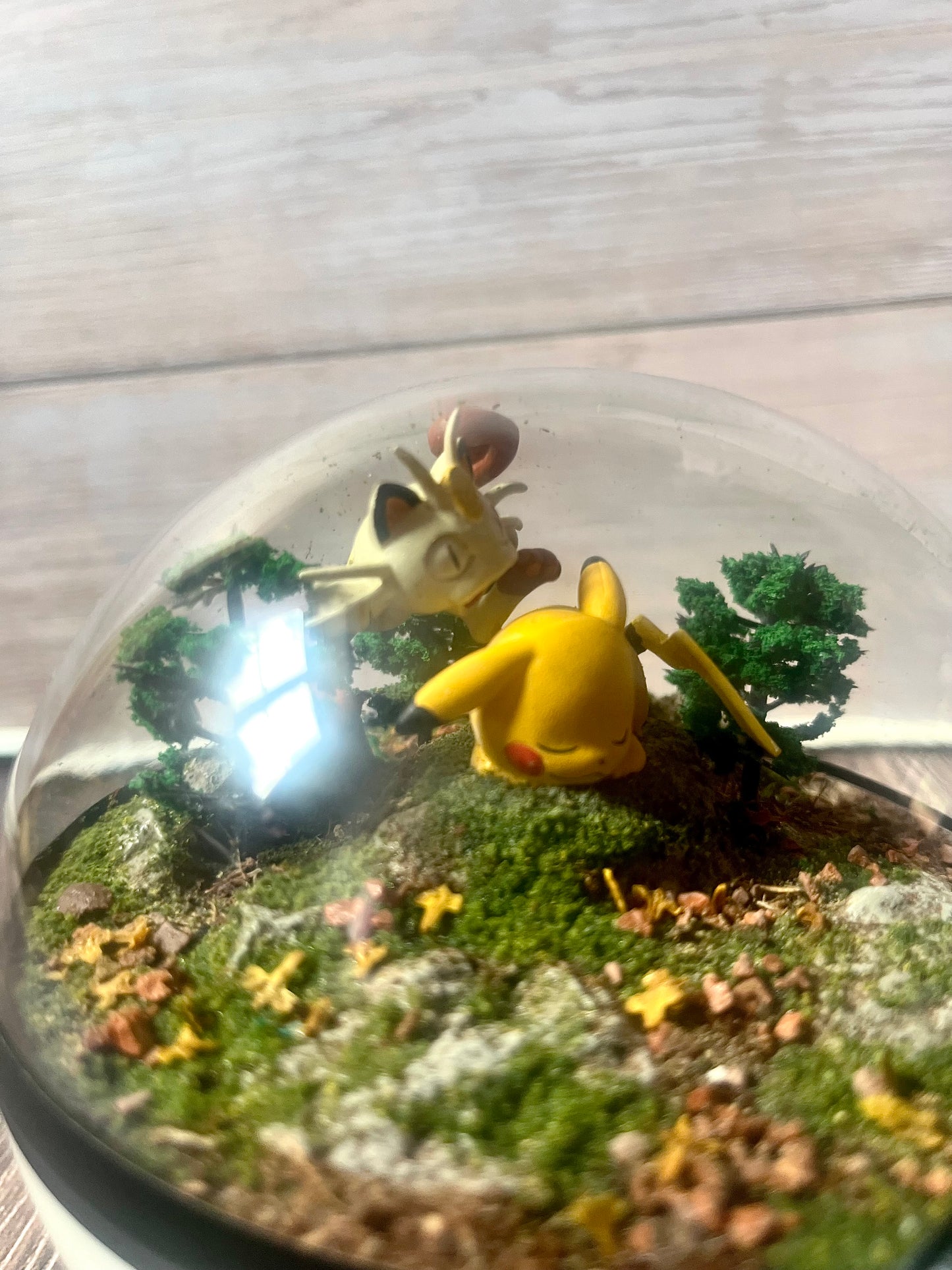 PIKACHU and MEOWTH (Medium 12cm) PokéBall Diorama Terrarium