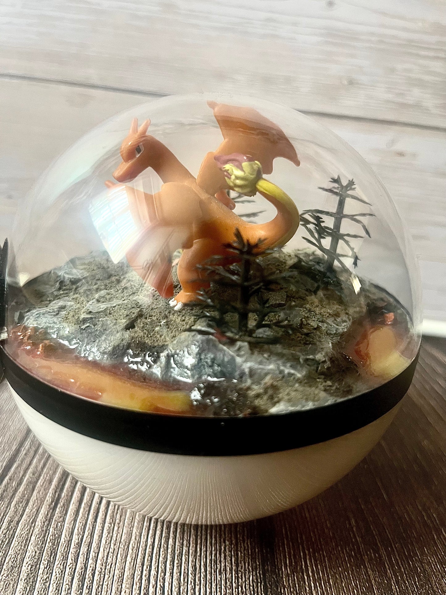 CHARIZARD (Medium 12cm) PokéBall Diorama Terrarium