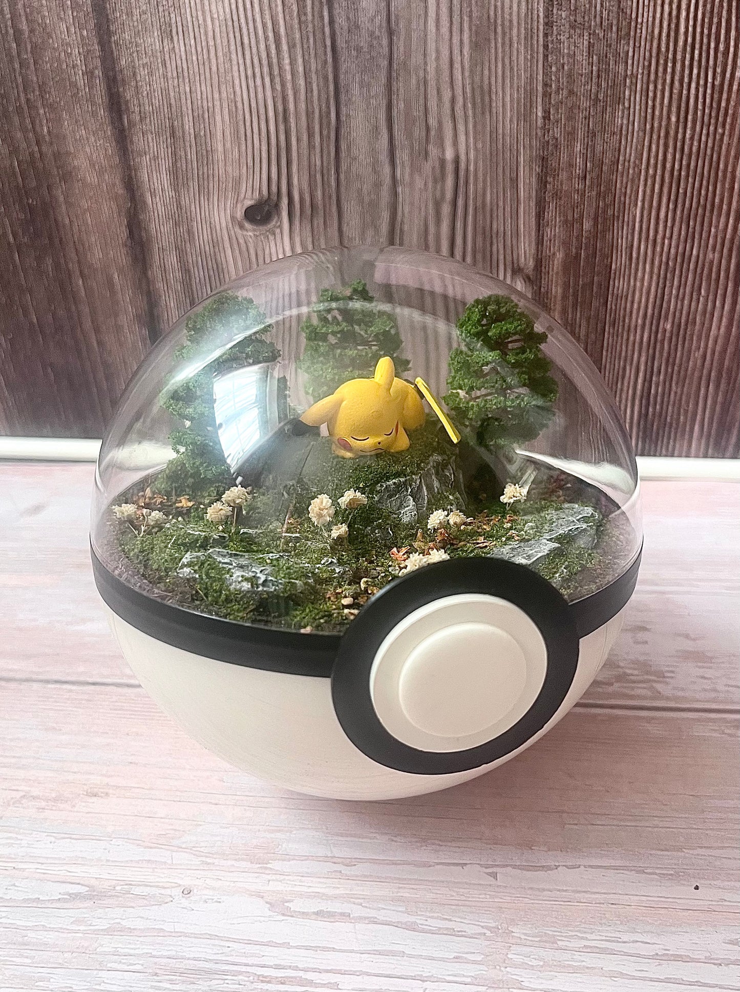 PIKACHU (Medium 5.5 inch) PokéBall Diorama Terrarium