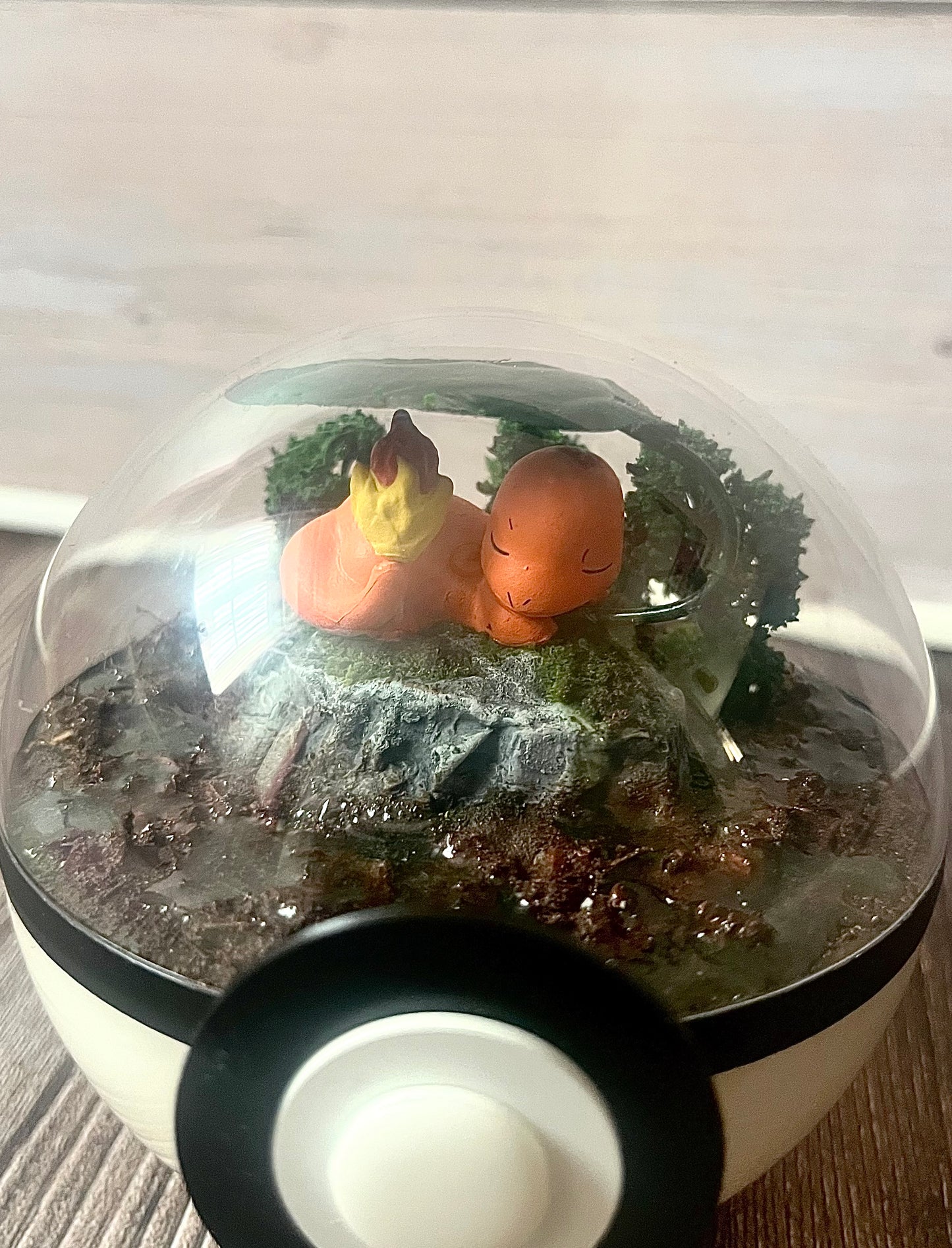 CHARMANDER (Small 10cm) PokéBall Diorama Terrarium