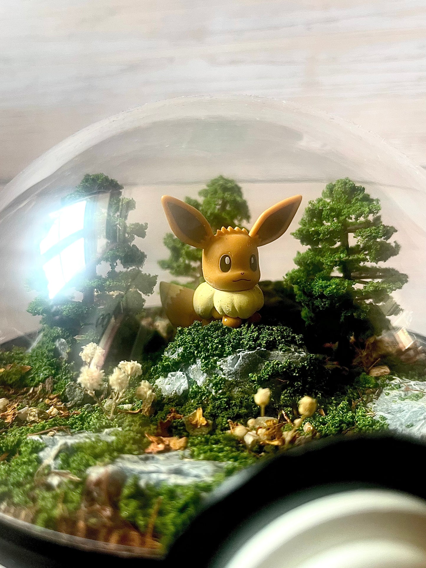 EEVEE (Large 14cm) PokéBall Diorama Terrarium
