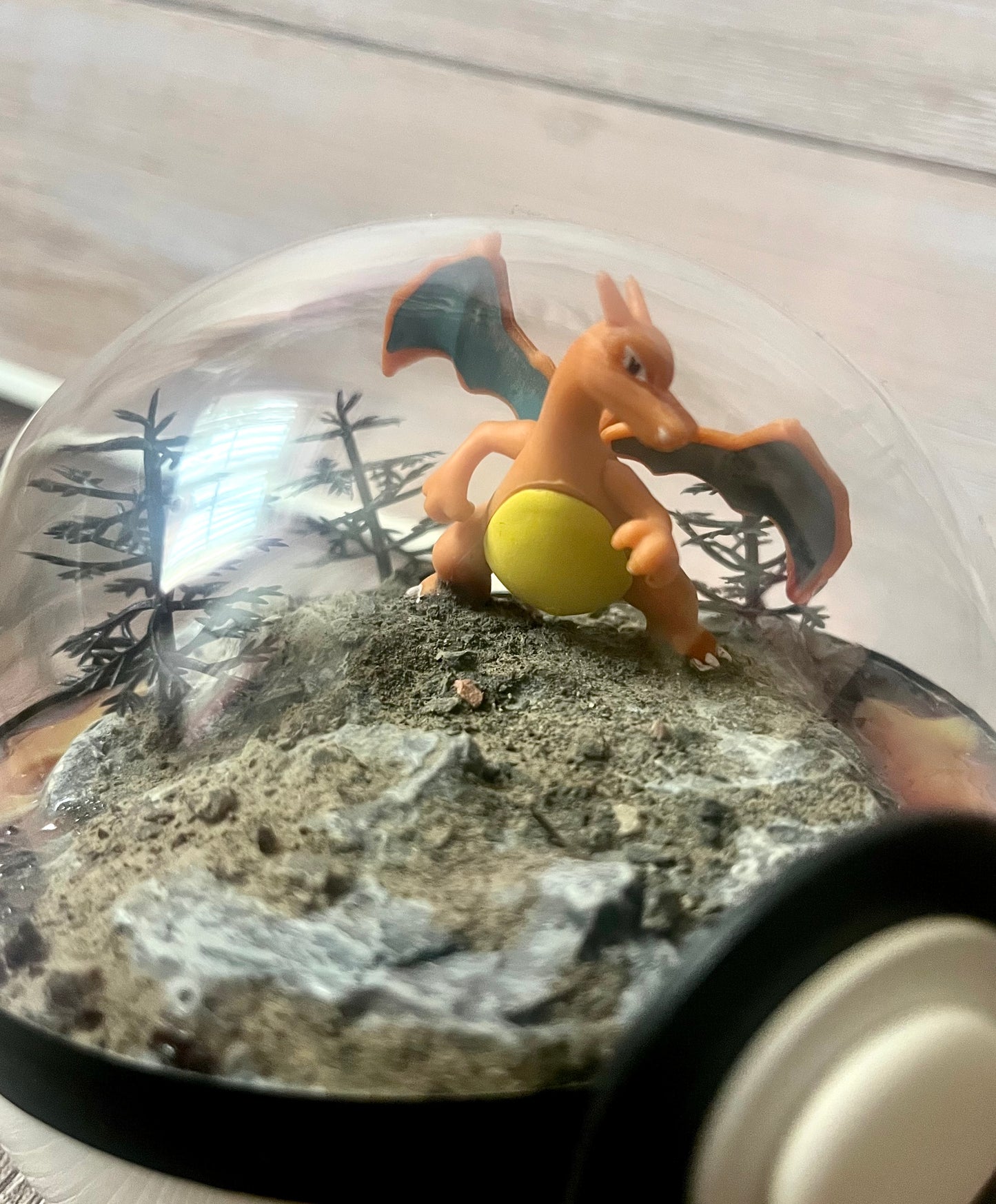 CHARIZARD (Medium 12cm) PokéBall Diorama Terrarium