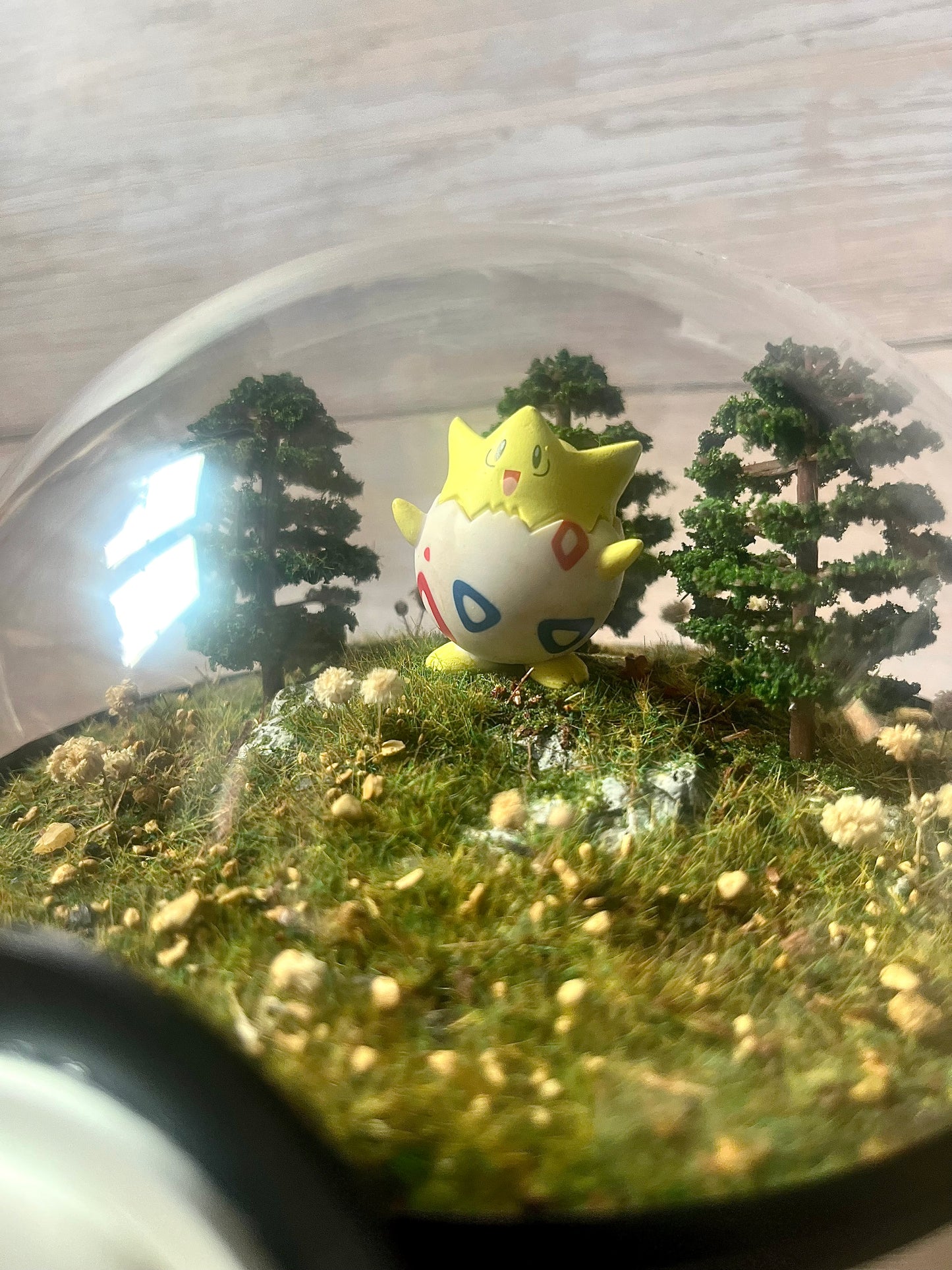 TOGEPI (Large 14cm) PokéBall Diorama Terrarium