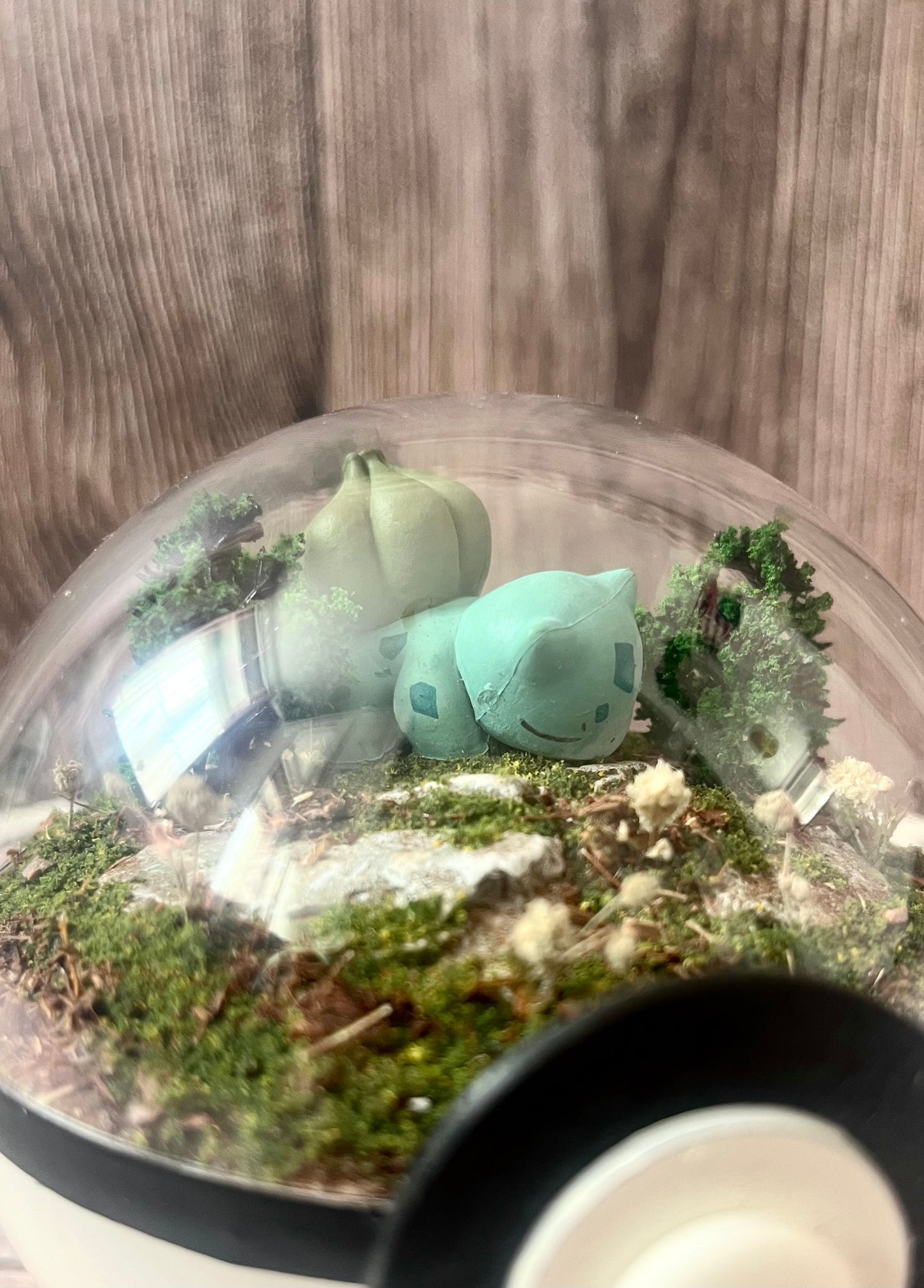 BULBASAUR (Small 10cm) PokéBall Diorama Terrarium