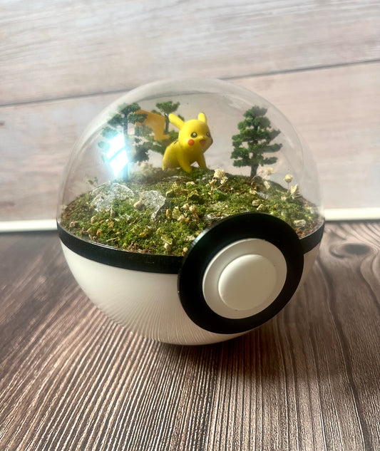 PIKACHU (Medium 12cm) PokéBall Diorama Terrarium