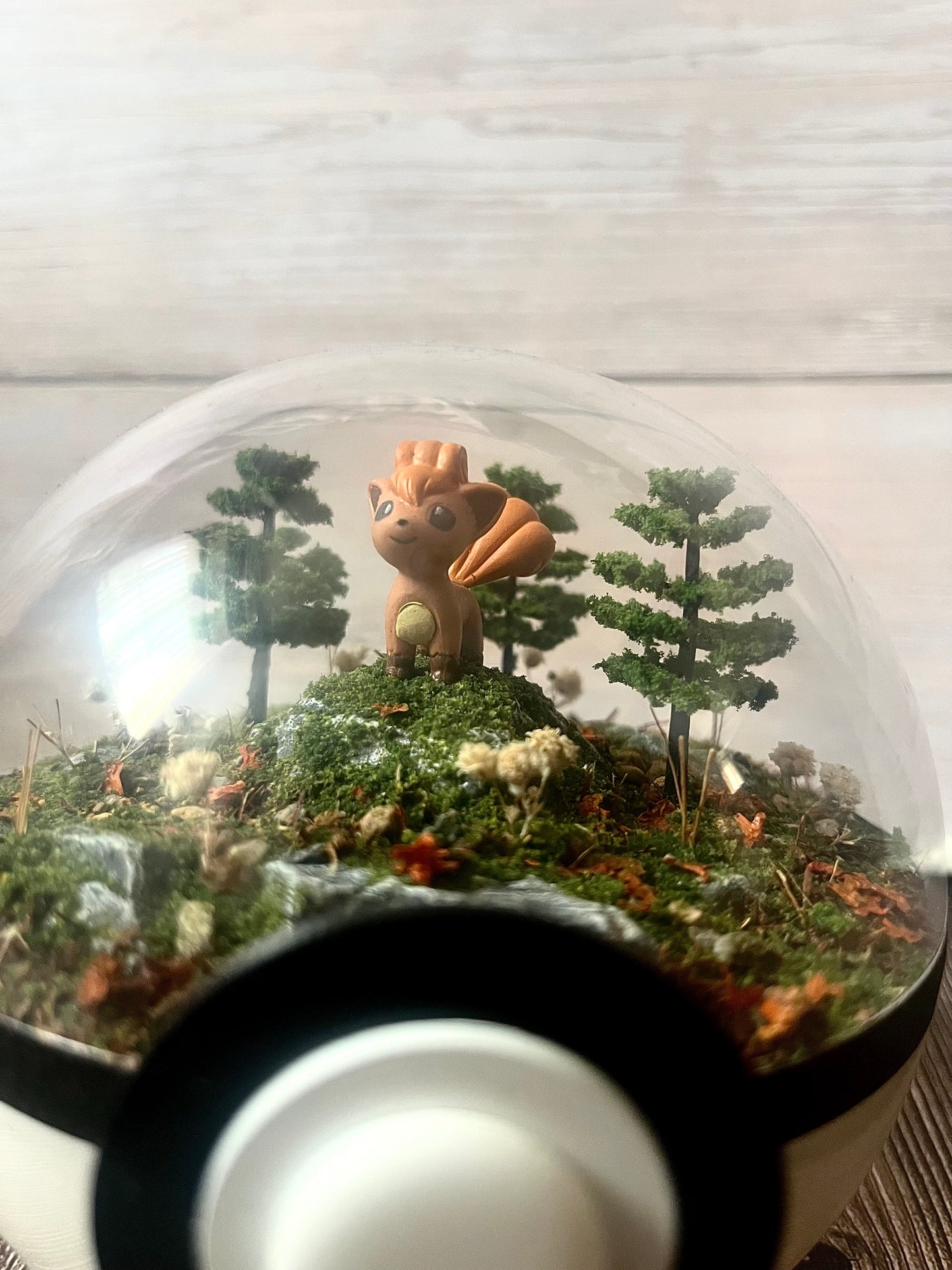 VULPIX (Medium 12cm) PokéBall Diorama Terrarium