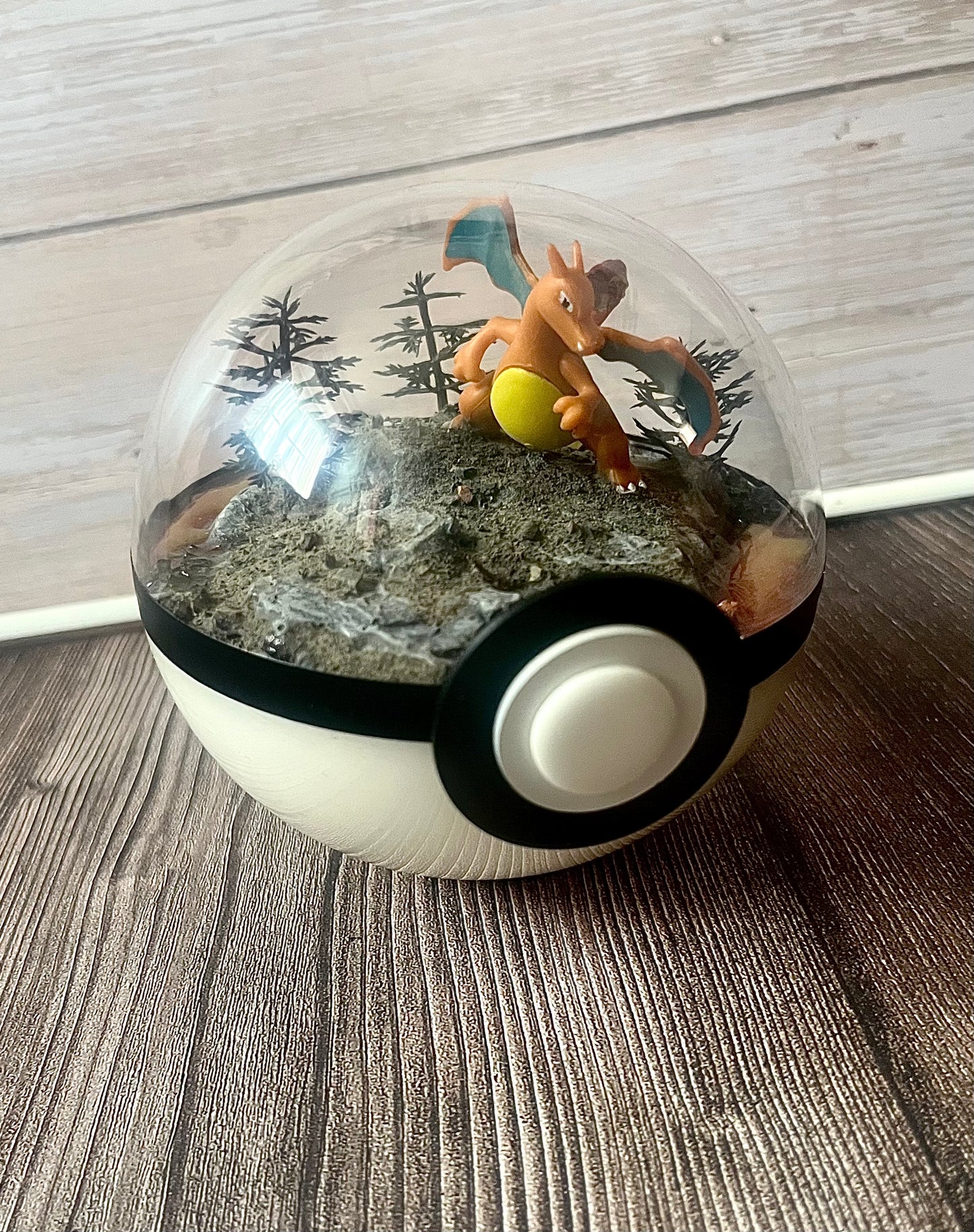 CHARIZARD (Medium 12cm) PokéBall Diorama Terrarium