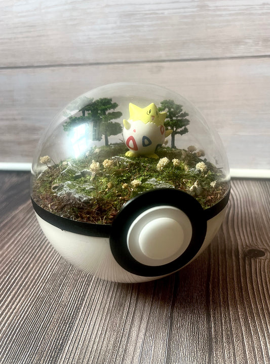 TOGEPI (Medium 12cm) PokéBall Diorama Terrarium