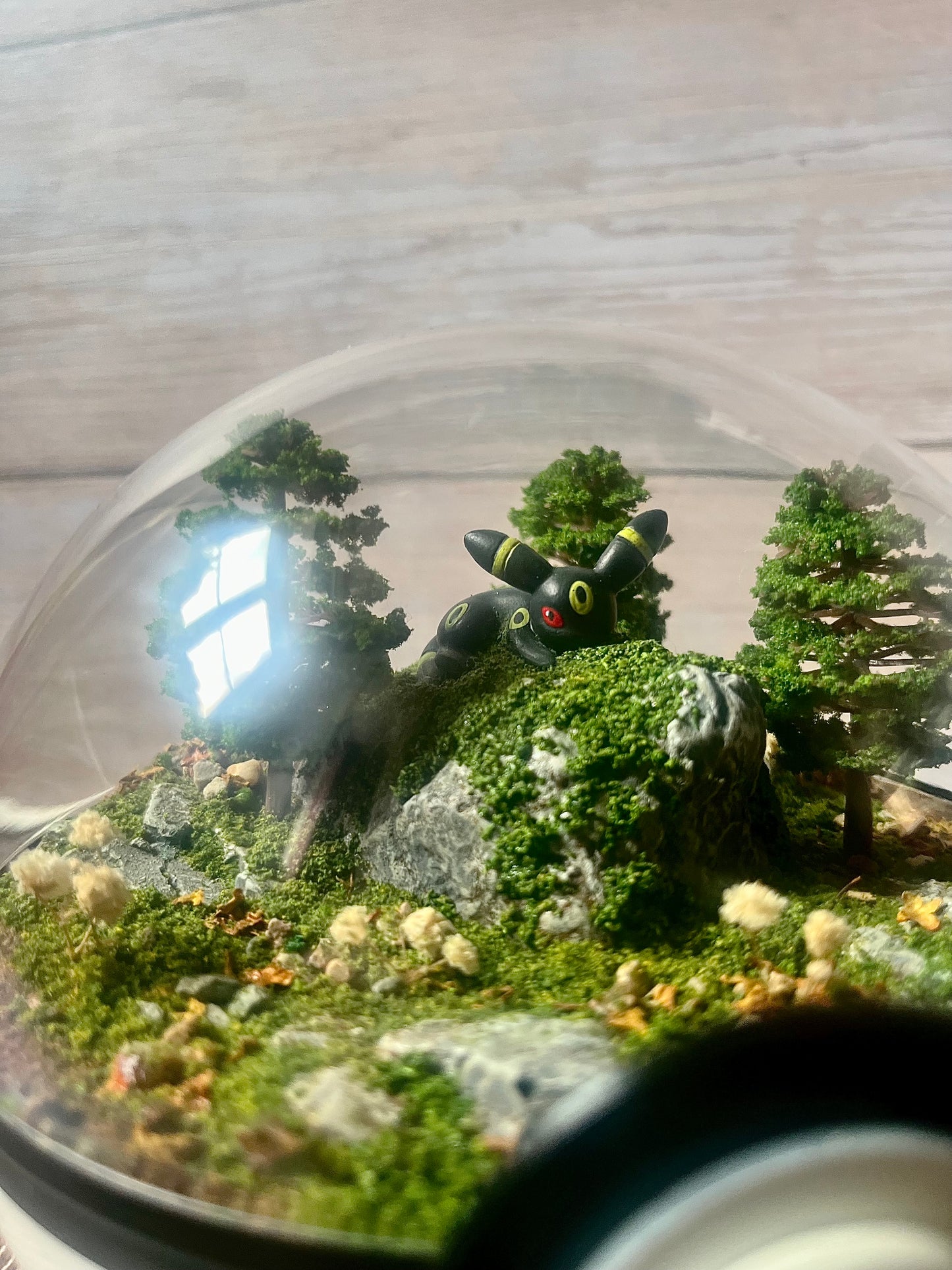 UMBREON (Large 14cm) PokéBall Diorama Terrarium