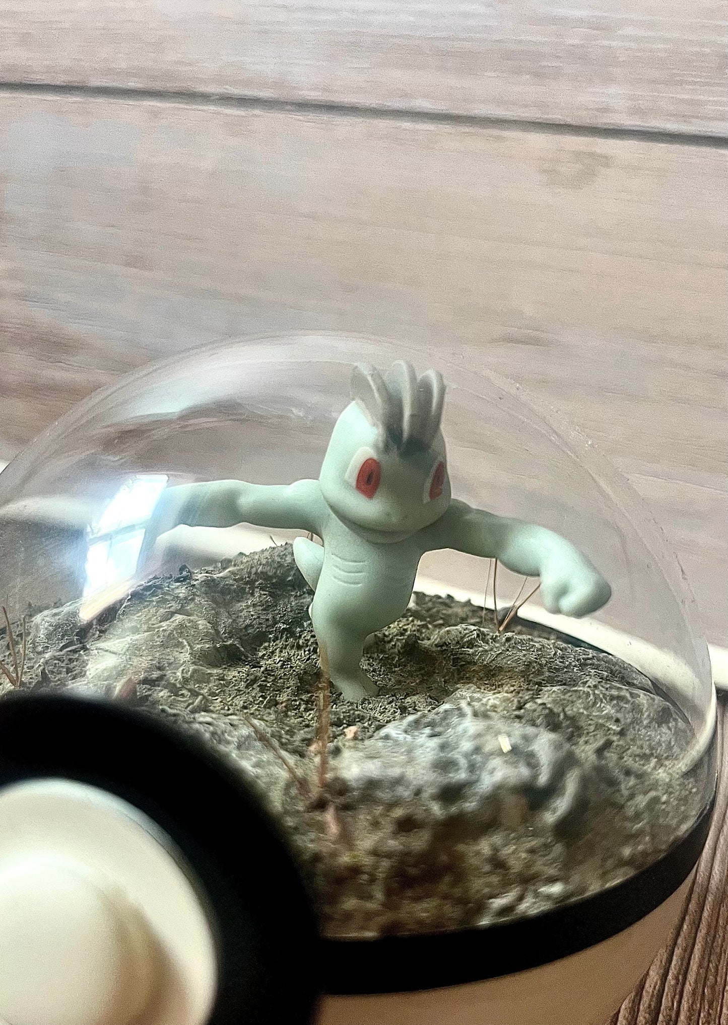 MACHOP (Small 10cm) PokéBall Diorama Terrarium