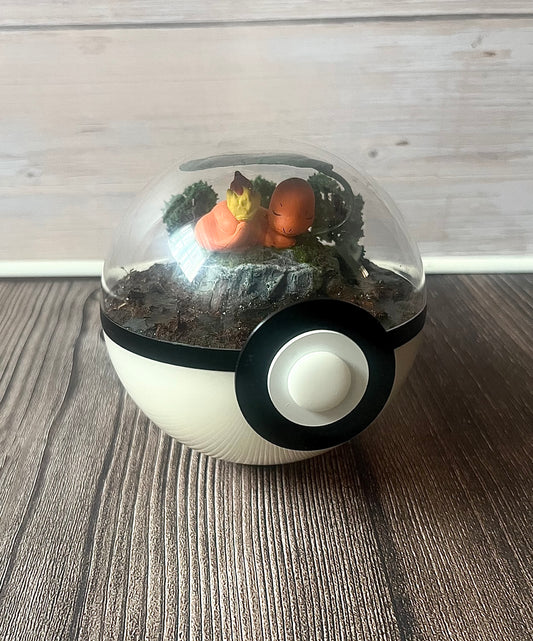 CHARMANDER (Small 10cm) PokéBall Diorama Terrarium