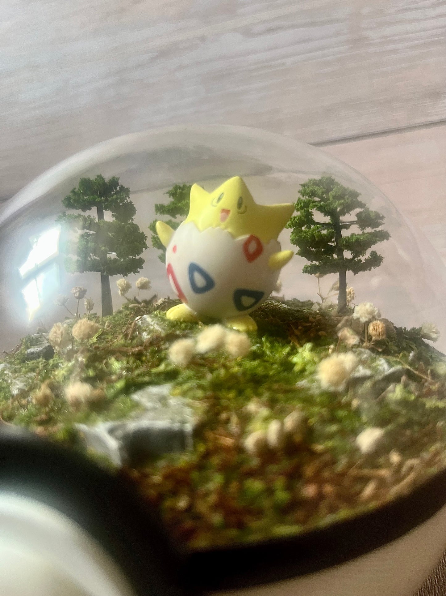 TOGEPI (Medium 12cm) PokéBall Diorama Terrarium