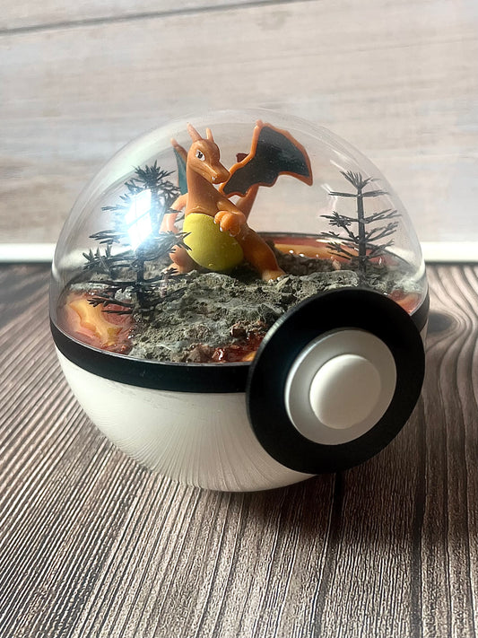 CHARIZARD (Small 10cm) PokéBall Diorama Terrarium